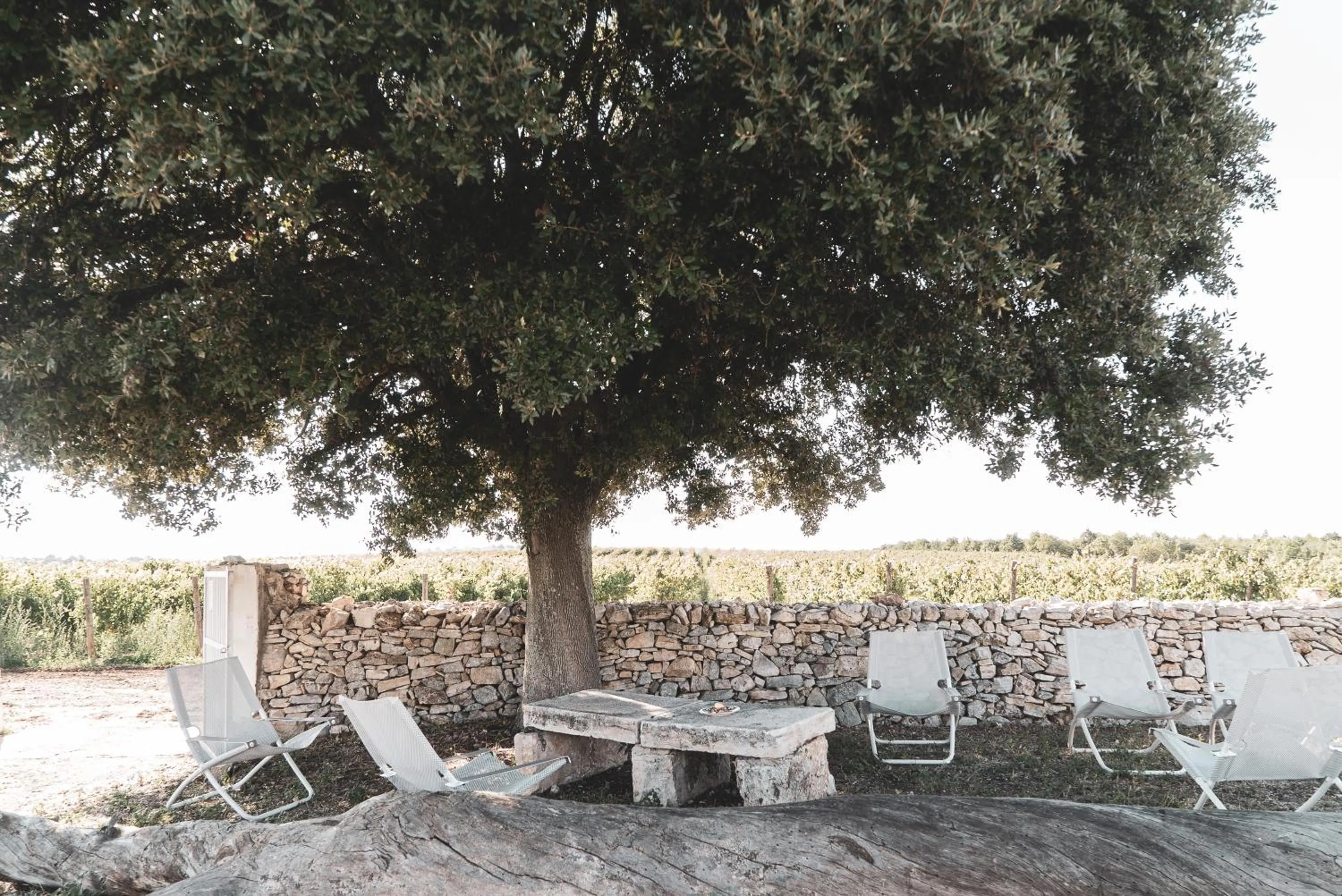 Patio in Le Masserie Zucaro