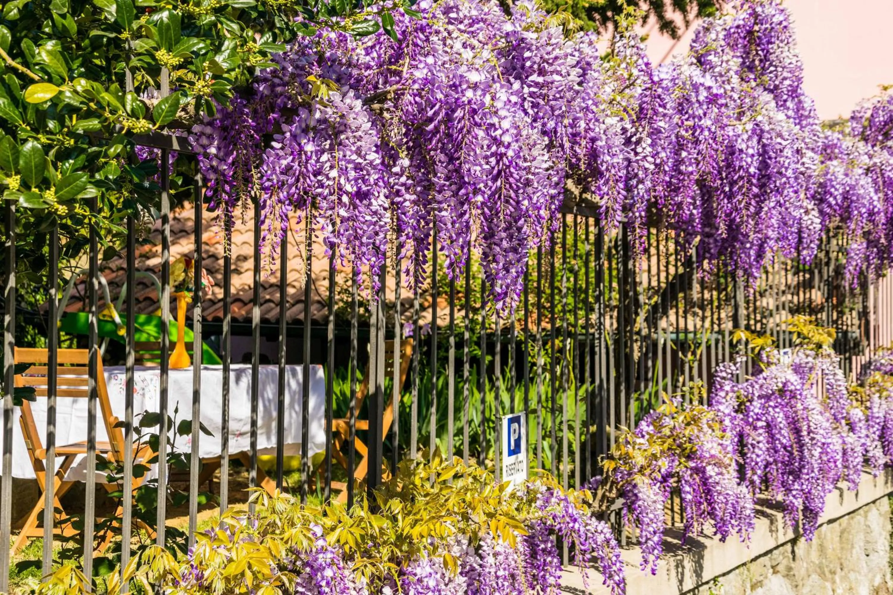 Garden in B&B Il Glicine Molare