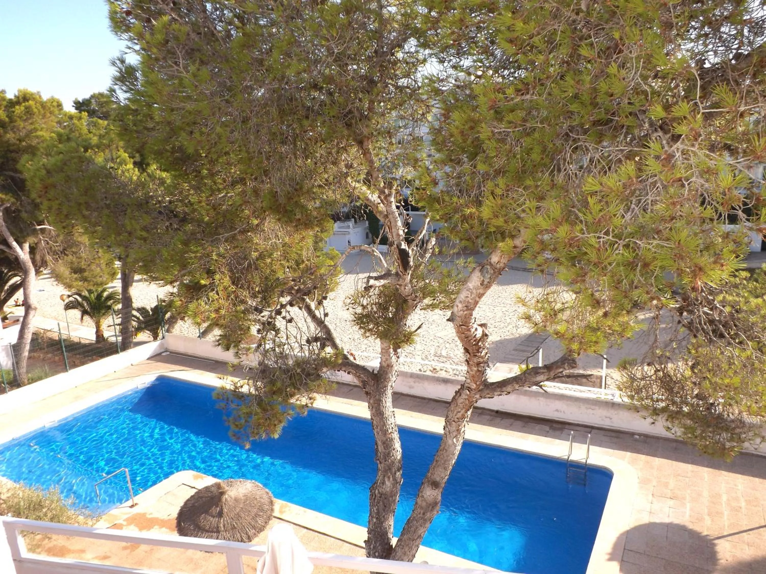 Pool view in Bungalow Playa d'Or, 2