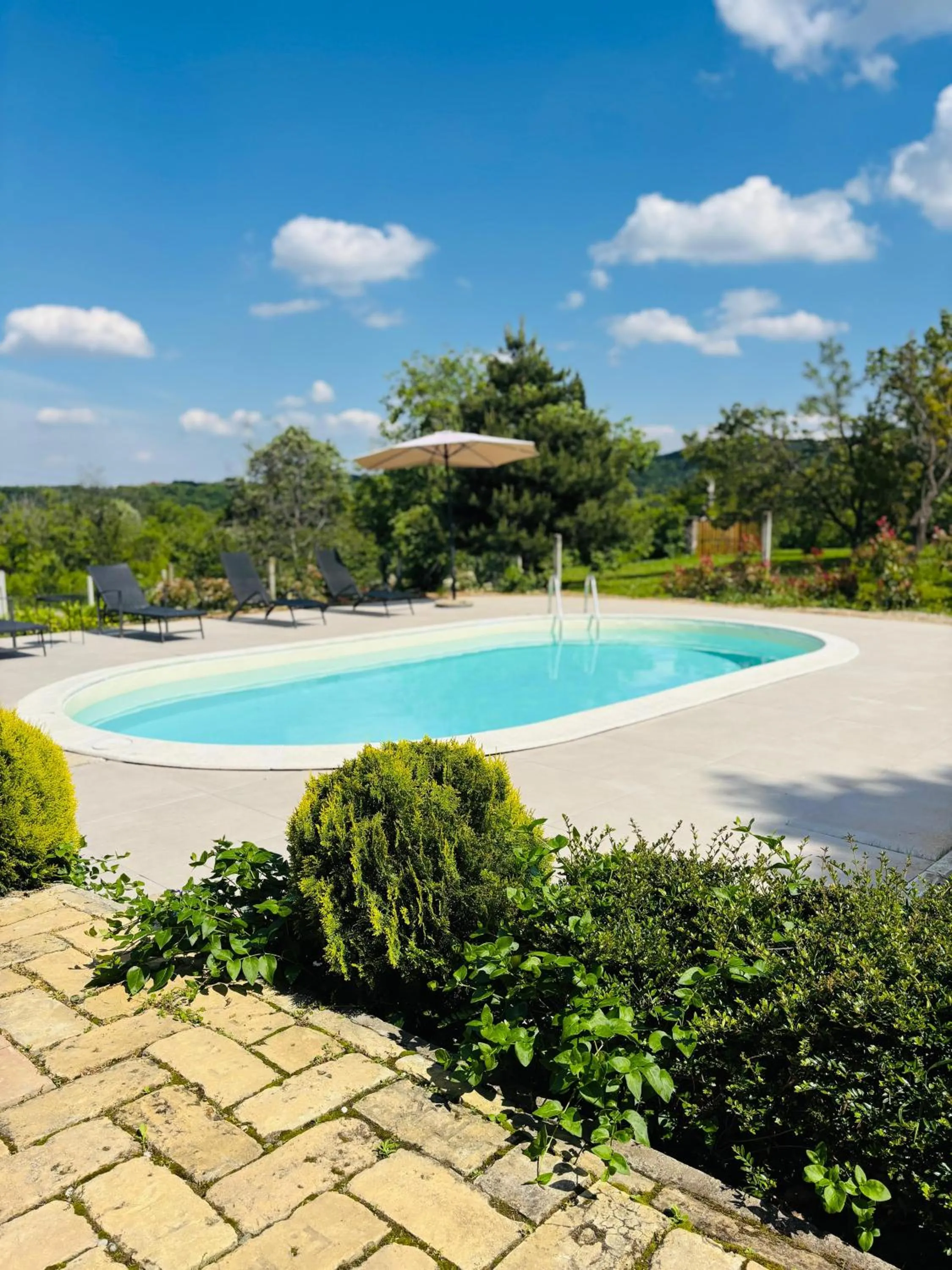 Fruska Pool House