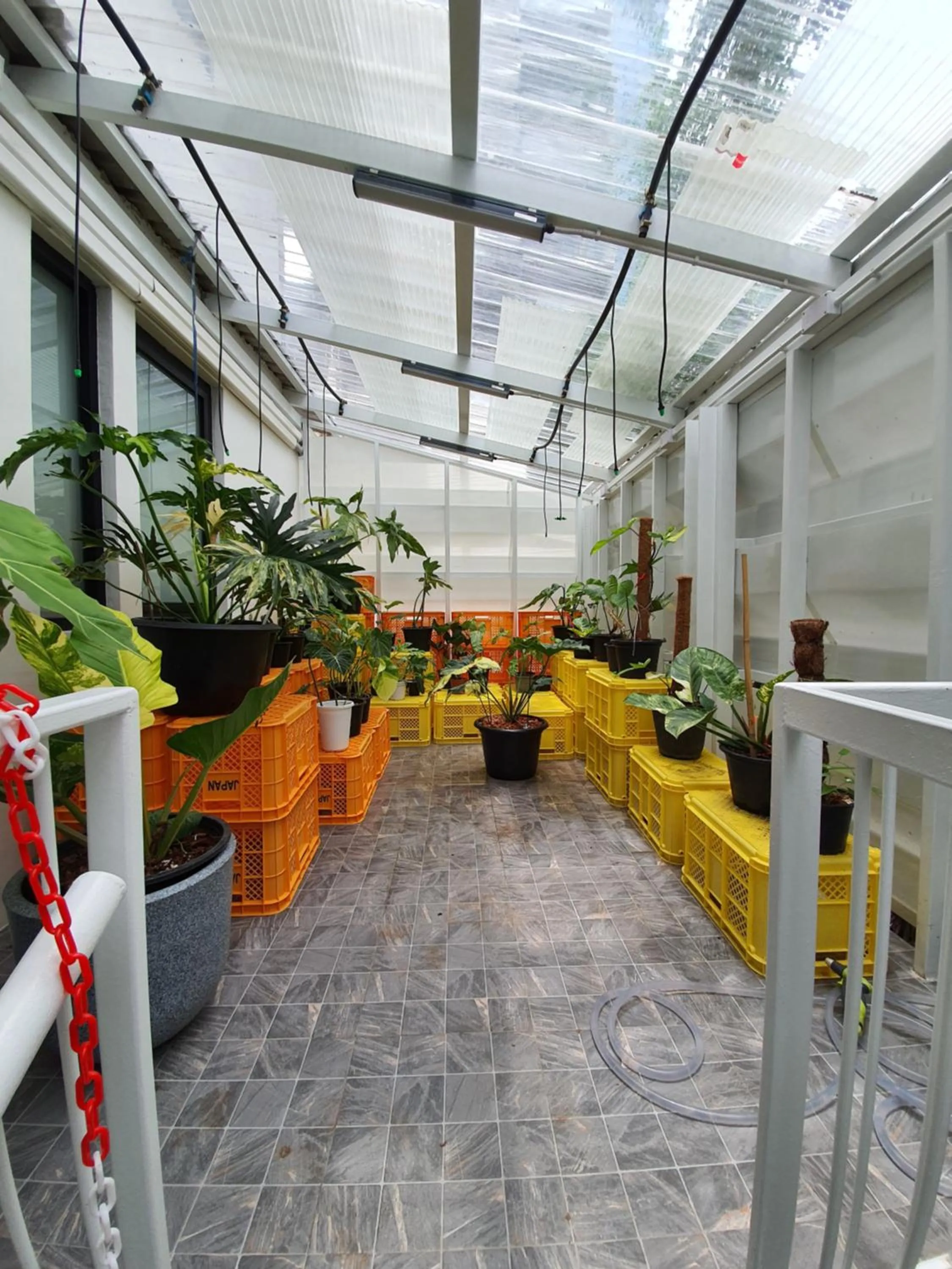 Balcony/Terrace in Roompini