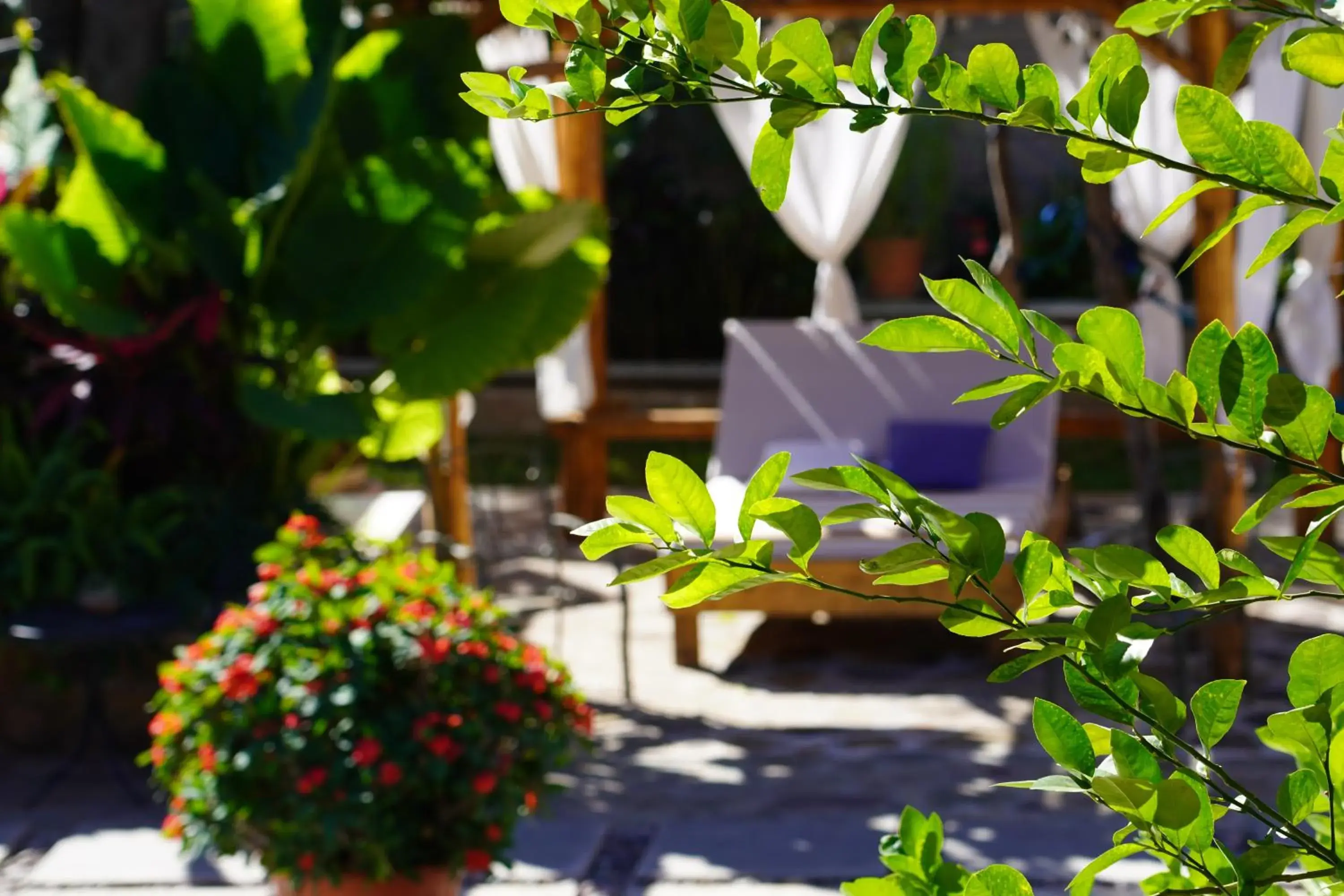 Deluxe Junior Suite in Hotel Villa de Urike Deluxe Junior Suite in Hotel Villa de Urike