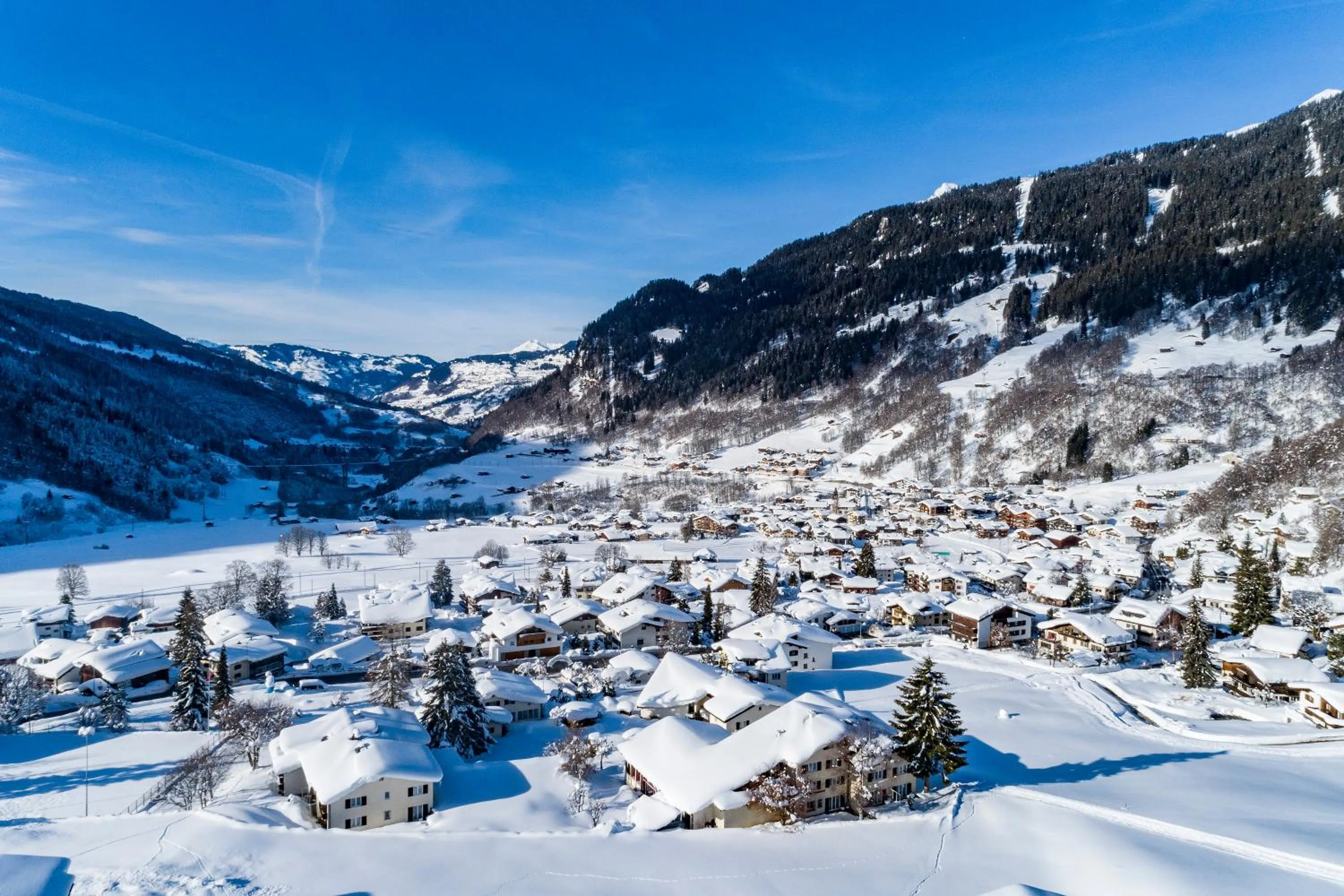 Natural landscape in Hotel Sport Klosters