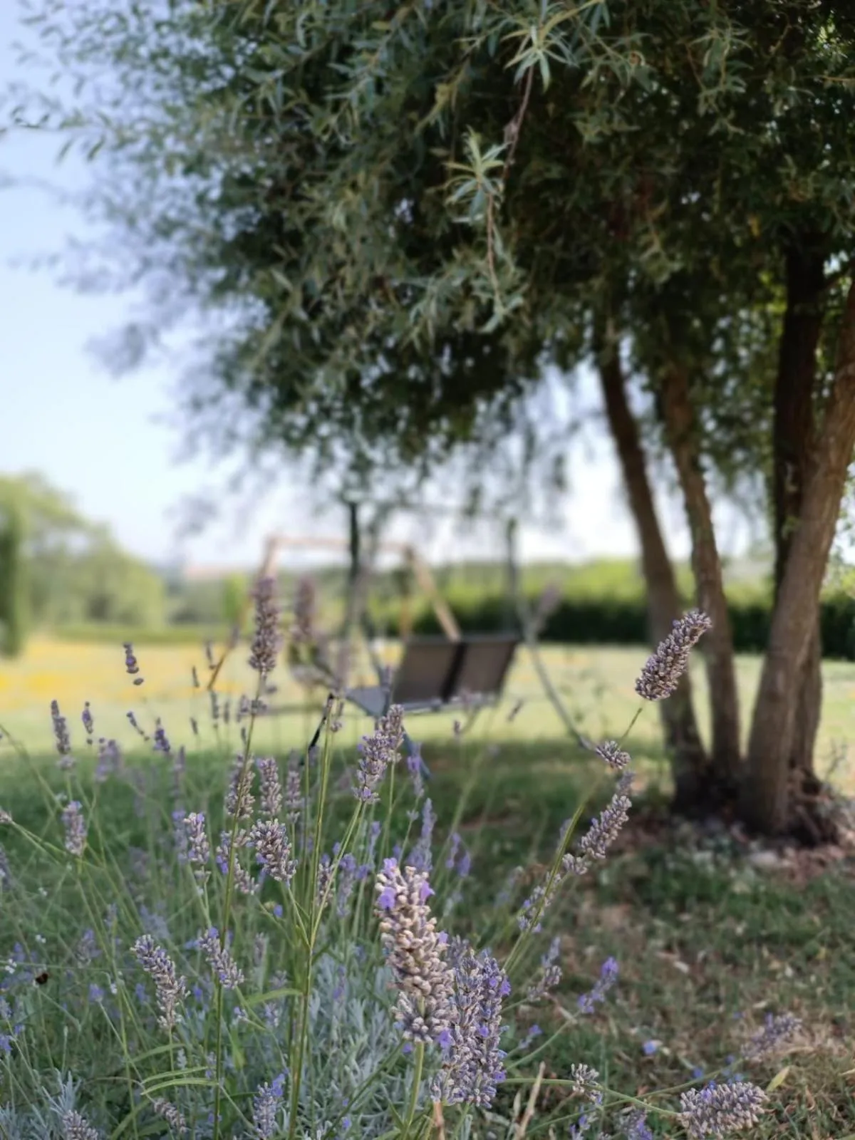 Garden in Dolce Farnetta en-Suite Spa & Yoga