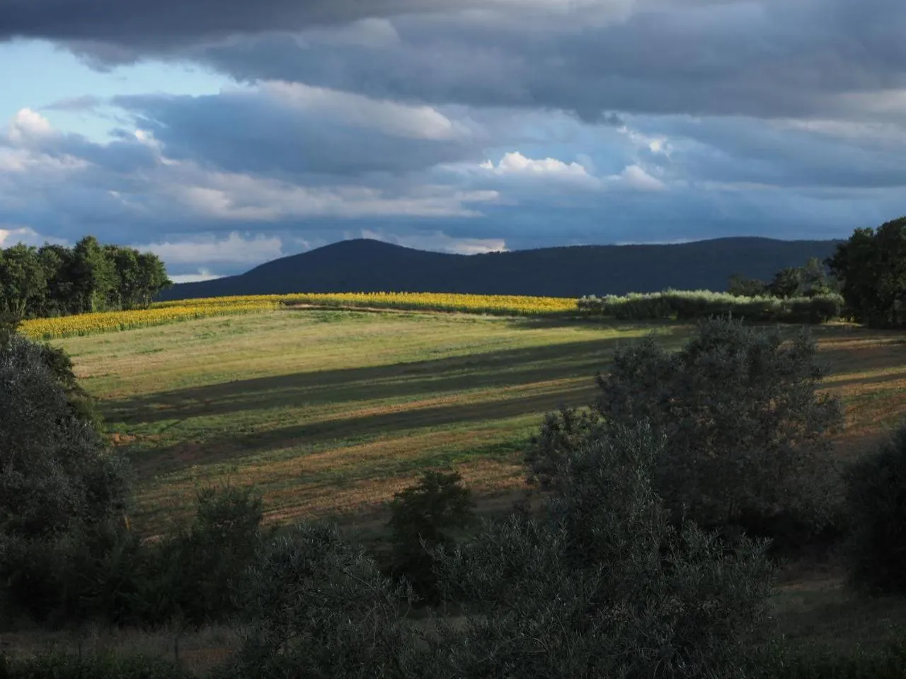 View (from property/room) in Dolce Farnetta en-Suite Spa & Yoga