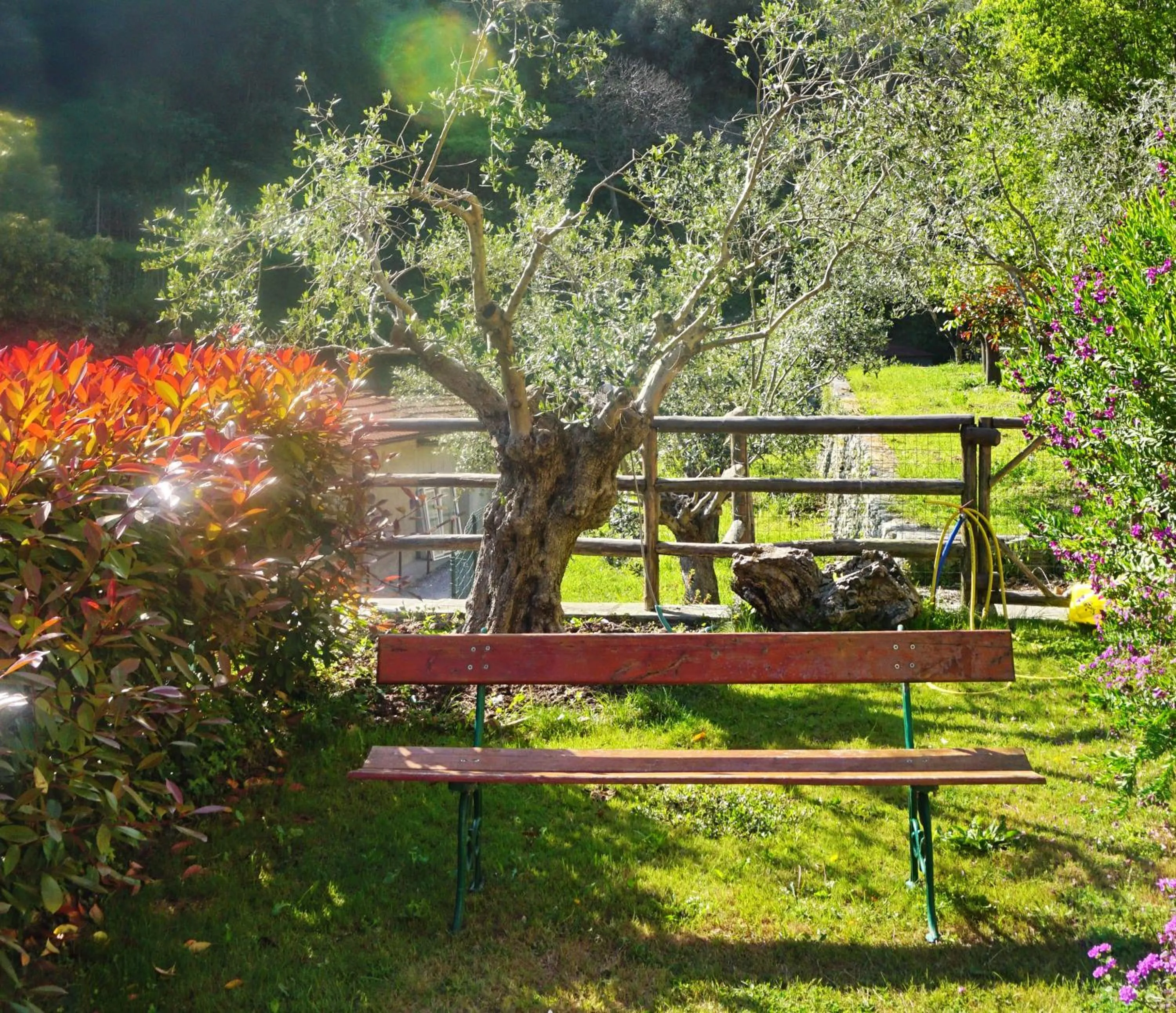 Garden in L'Allegra Brigata