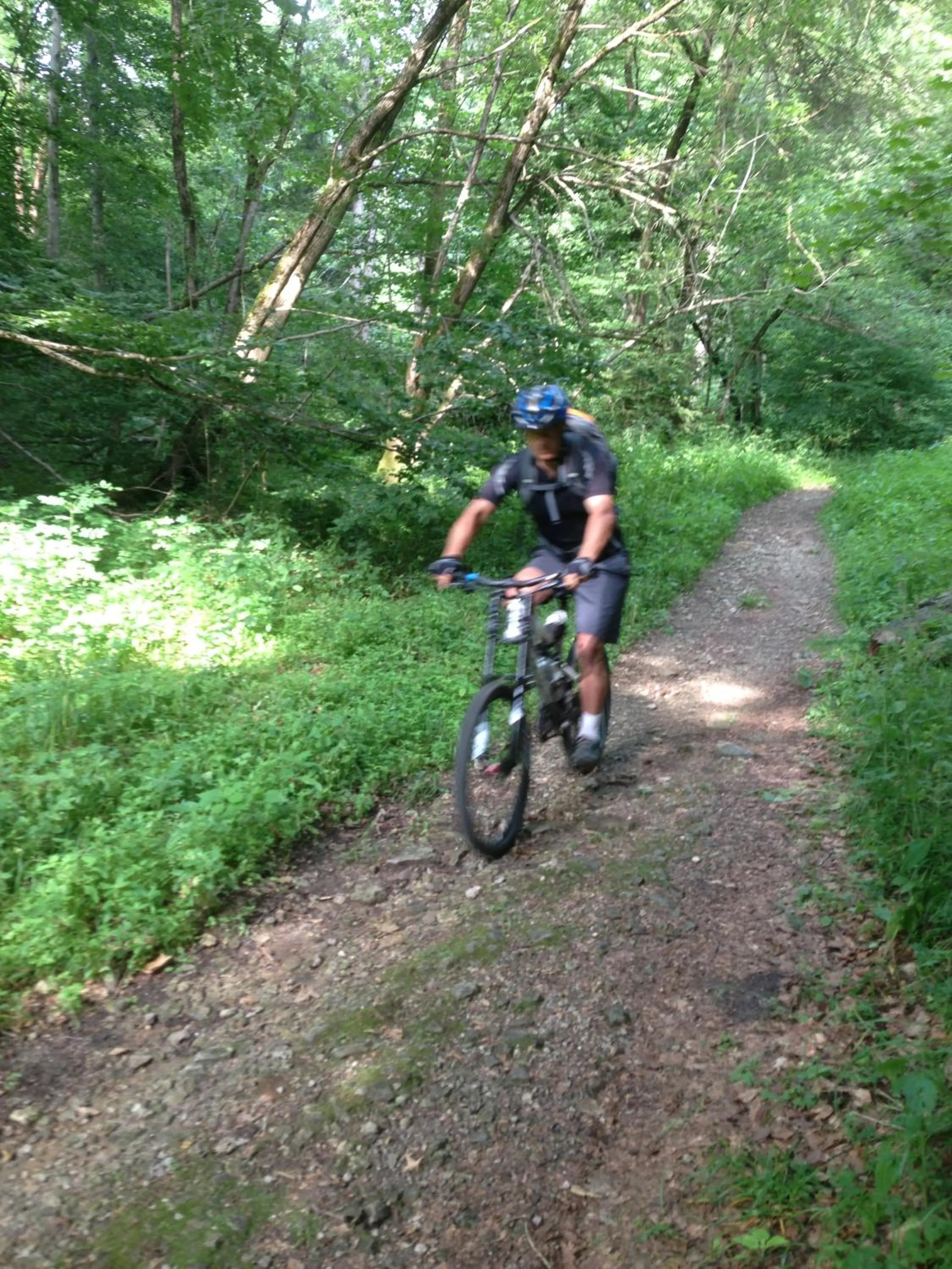 Cycling in Hotel Die Tanne