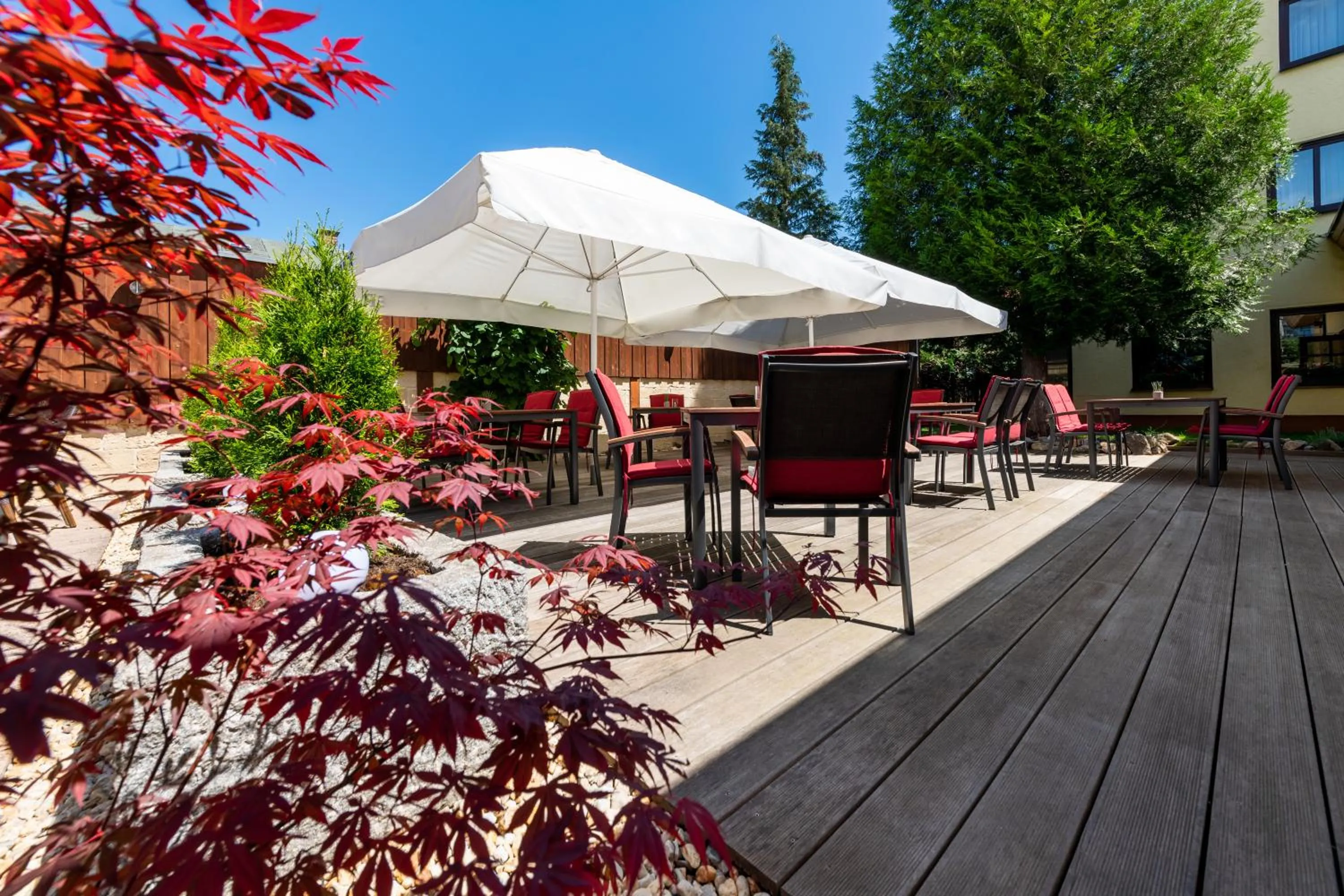 Restaurant/places to eat in Hotel Zum Steinhof