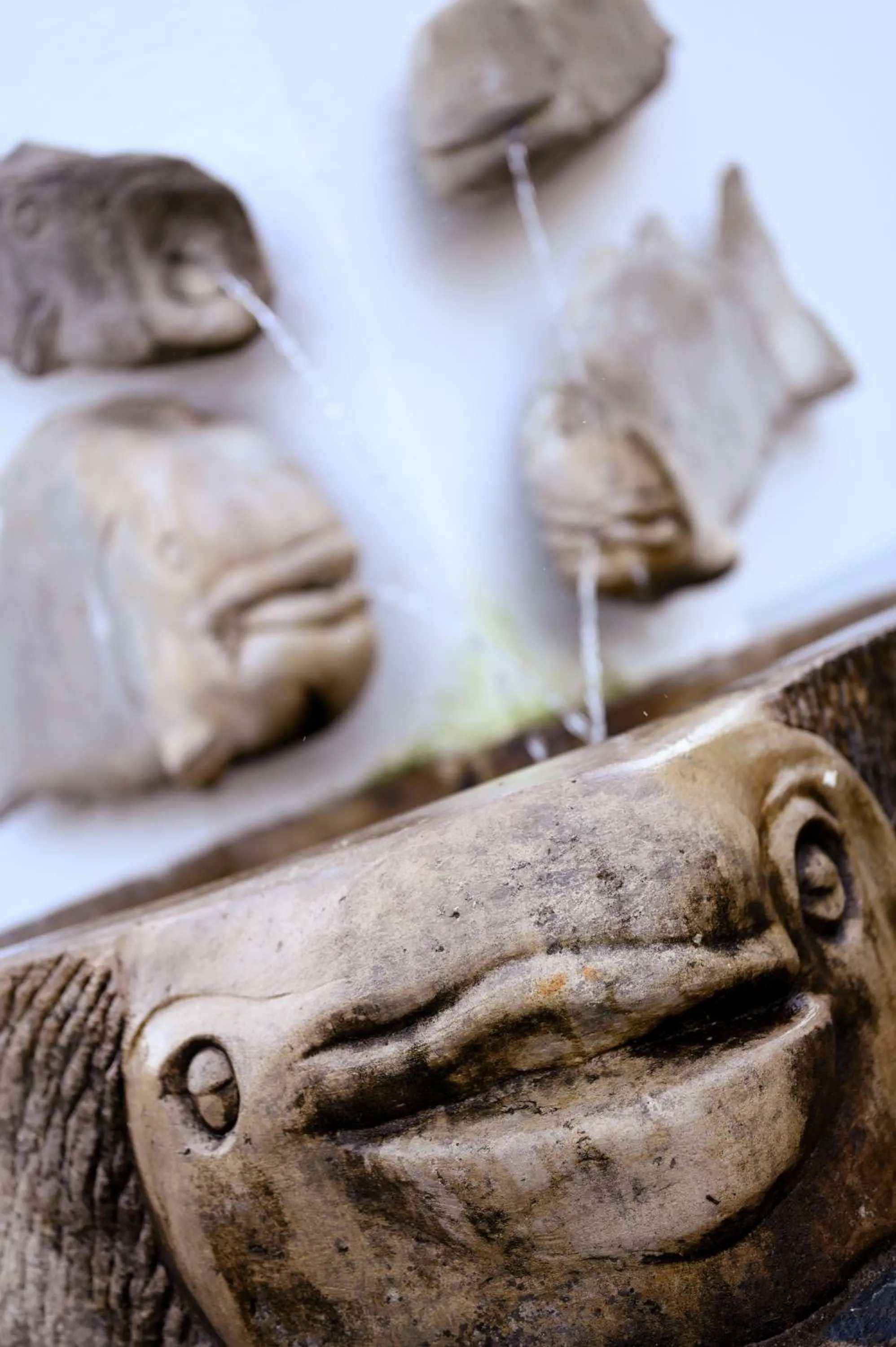 Garden in Altes Kurhaus Landhotel