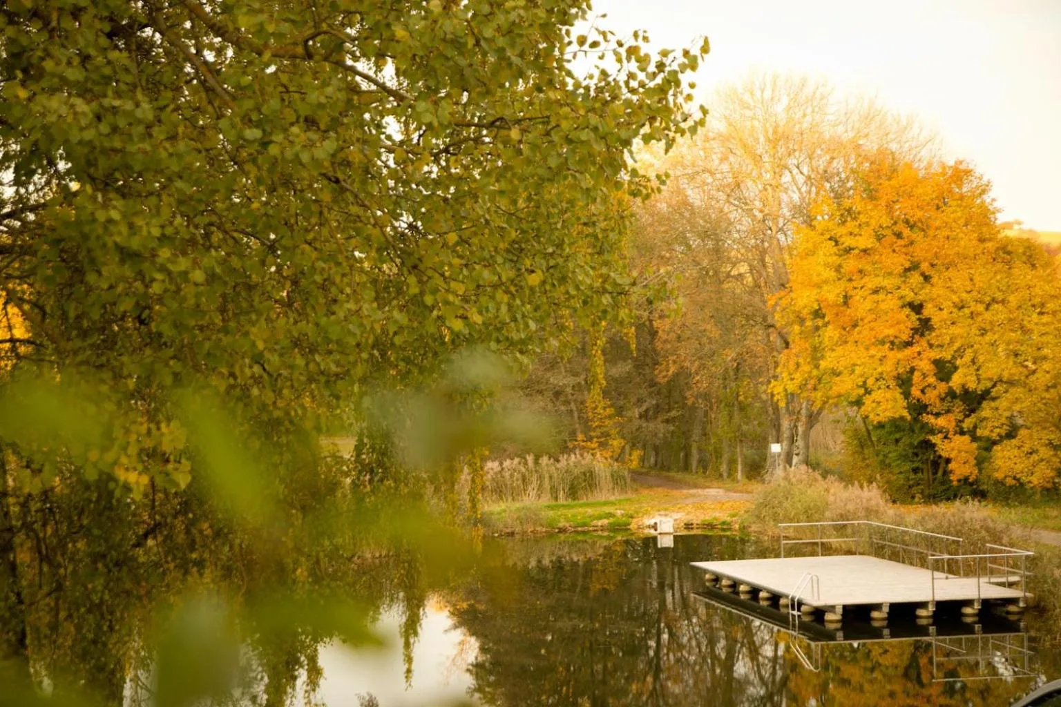 Natural landscape in Altes Kurhaus Landhotel