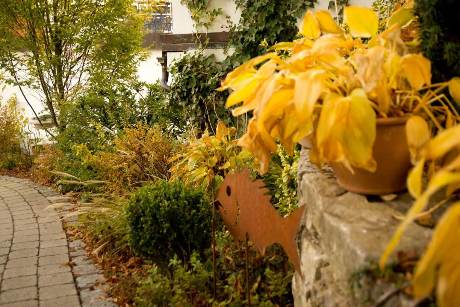 Other in Altes Kurhaus Landhotel