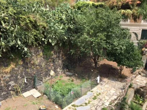 L'Oasi