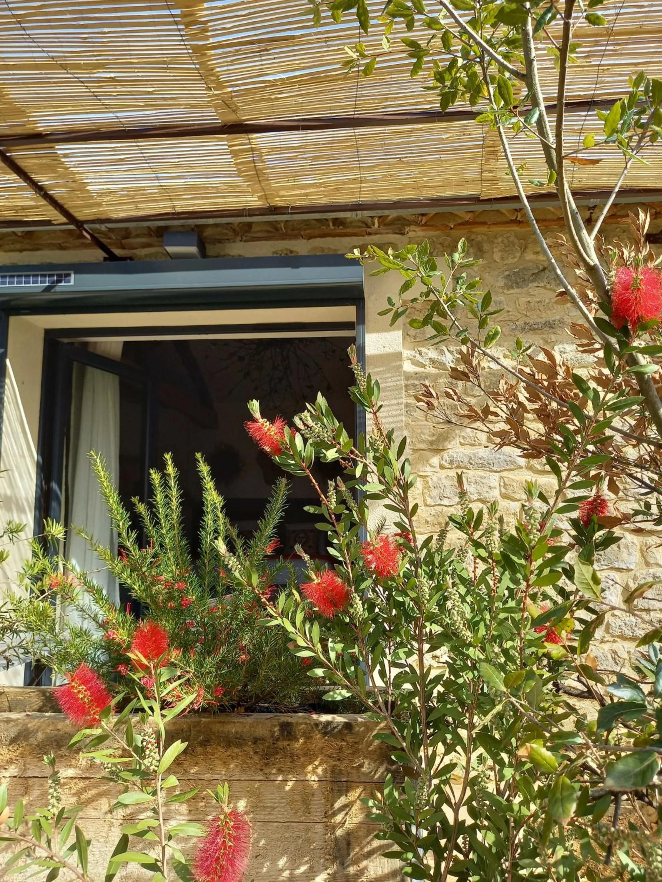 Garden view in Maison Reces