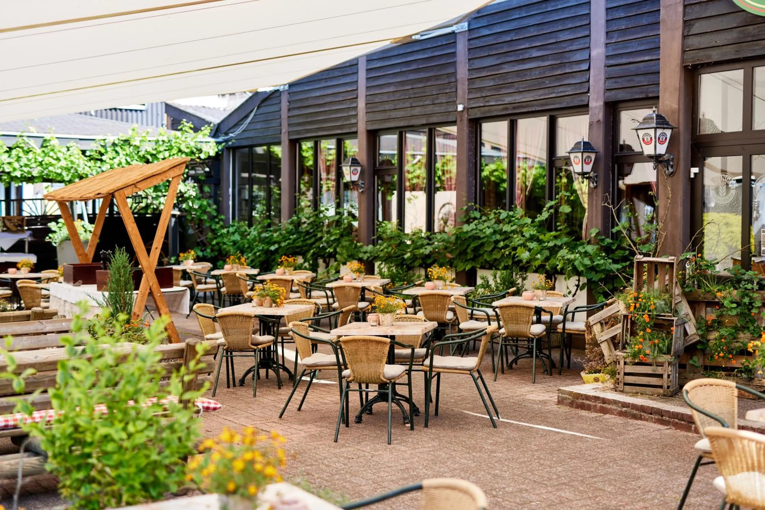 Balcony/Terrace in Hotelpark der Westerwald Treff