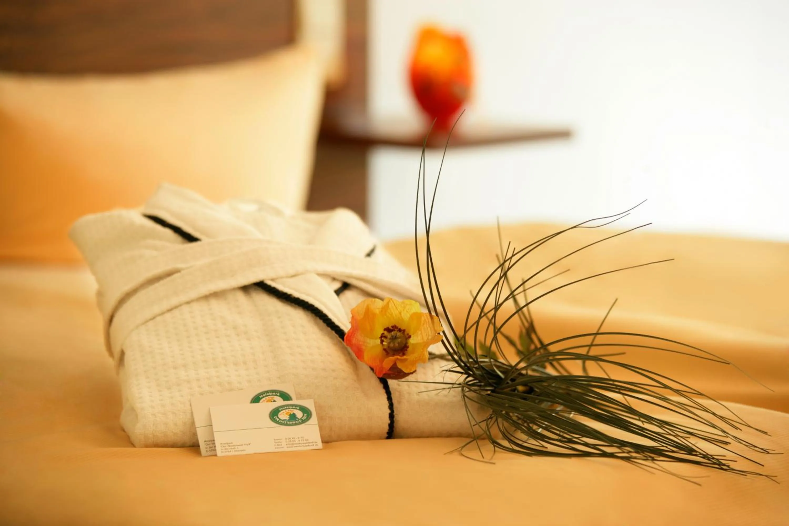 Spa and wellness centre/facilities in Hotelpark der Westerwald Treff