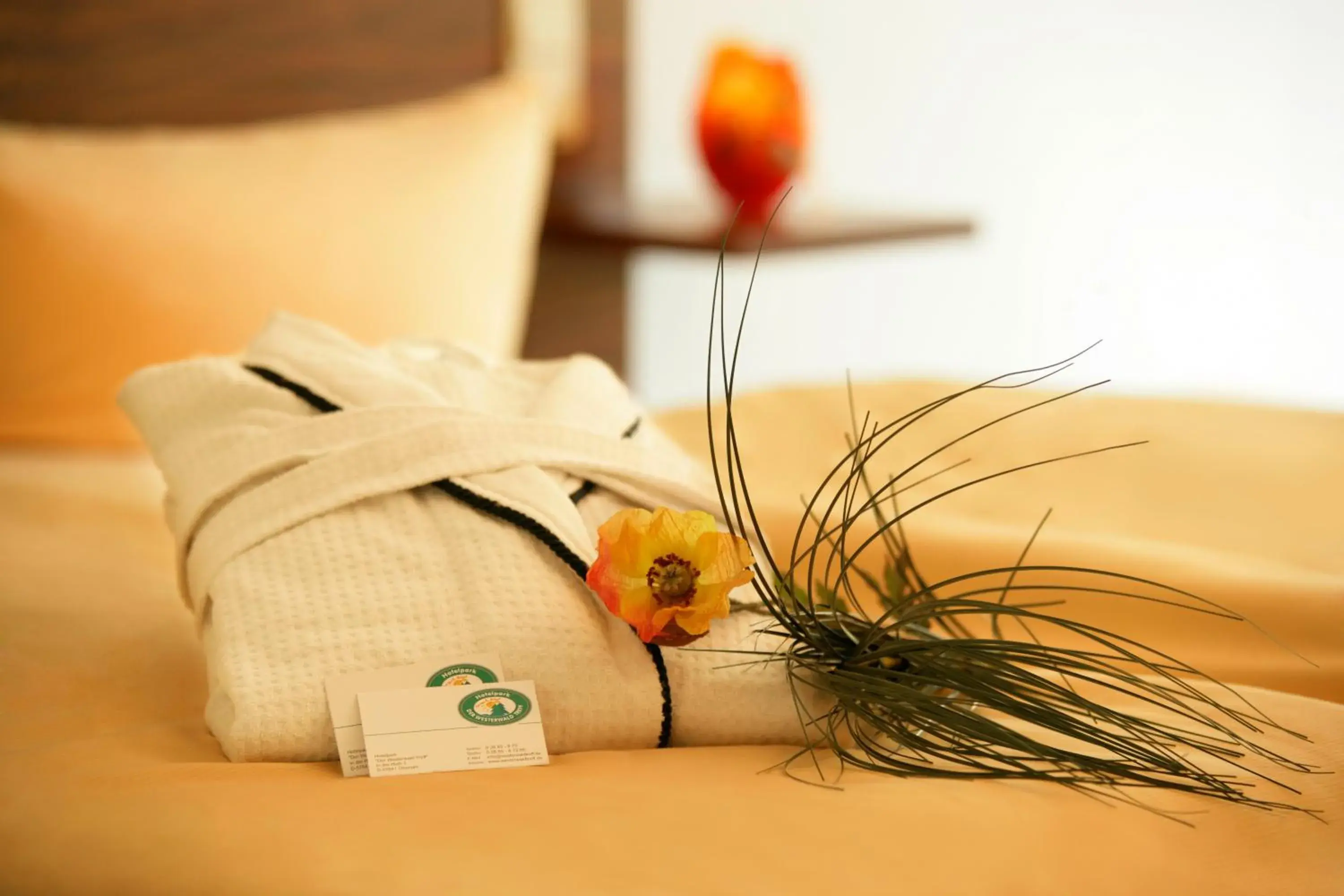 Standard Single Room in Hotelpark der Westerwald Treff Standard Single Room in Hotelpark der Westerwald Treff