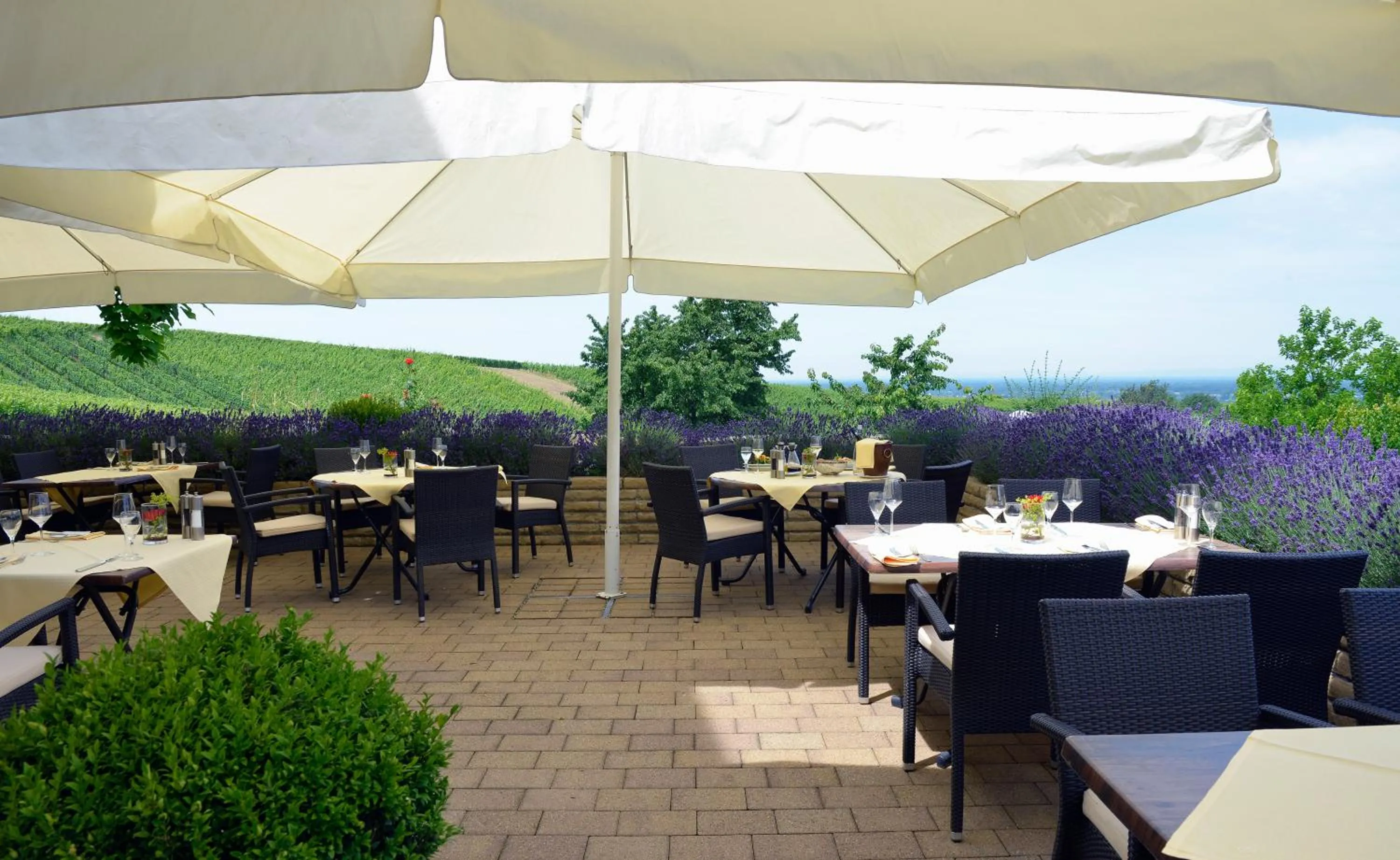 Restaurant/places to eat in Hotel Rebenhof