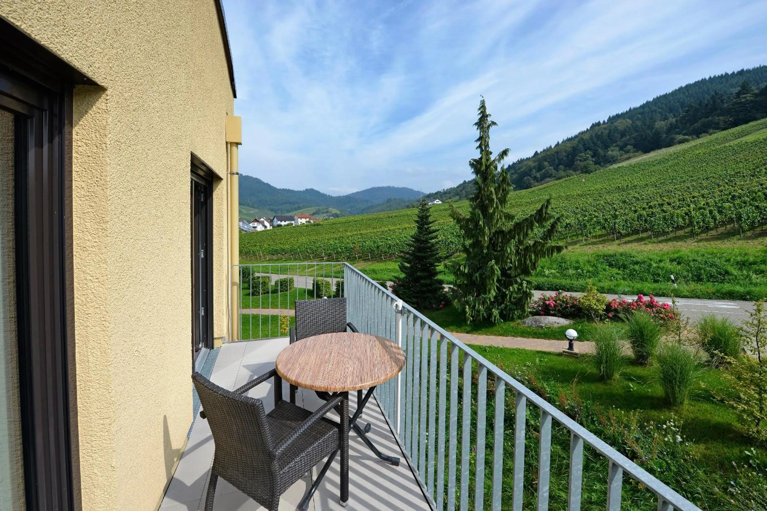 View (from property/room) in Hotel Rebenhof