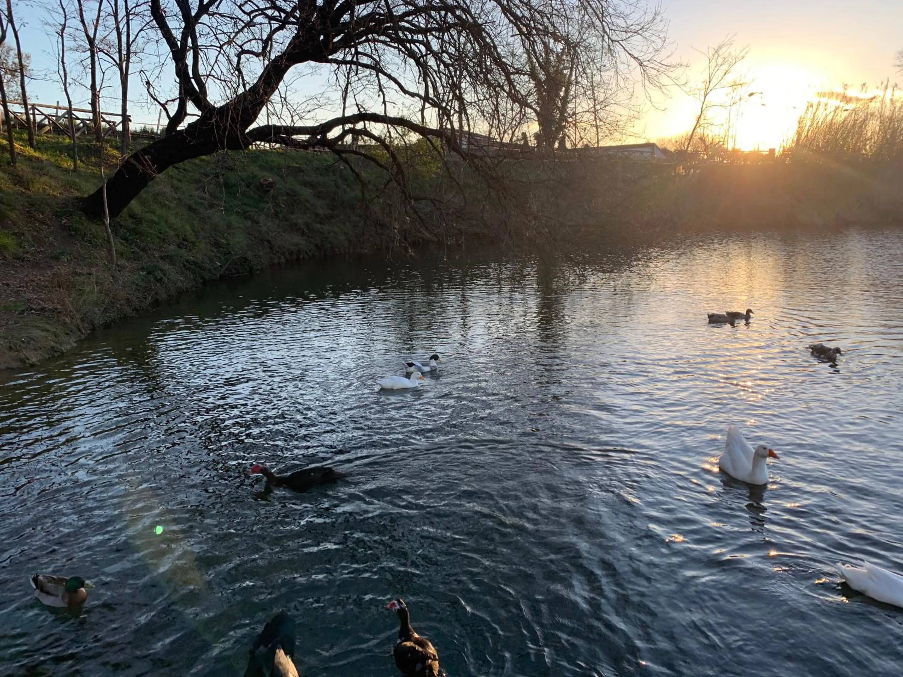 Neighbourhood in Masseria Moriello - lago di Telese
