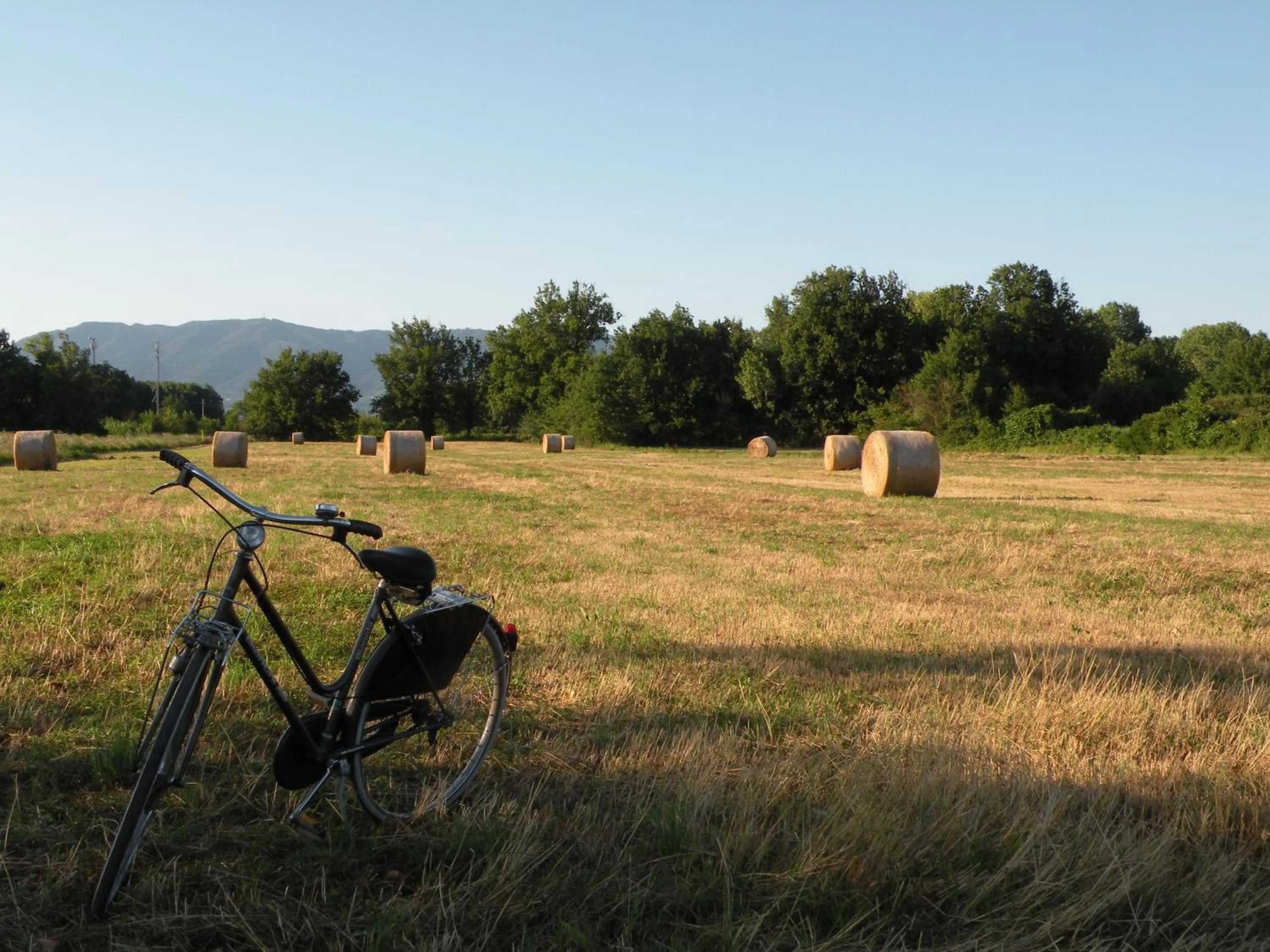 Natural landscape in Villa Galgani