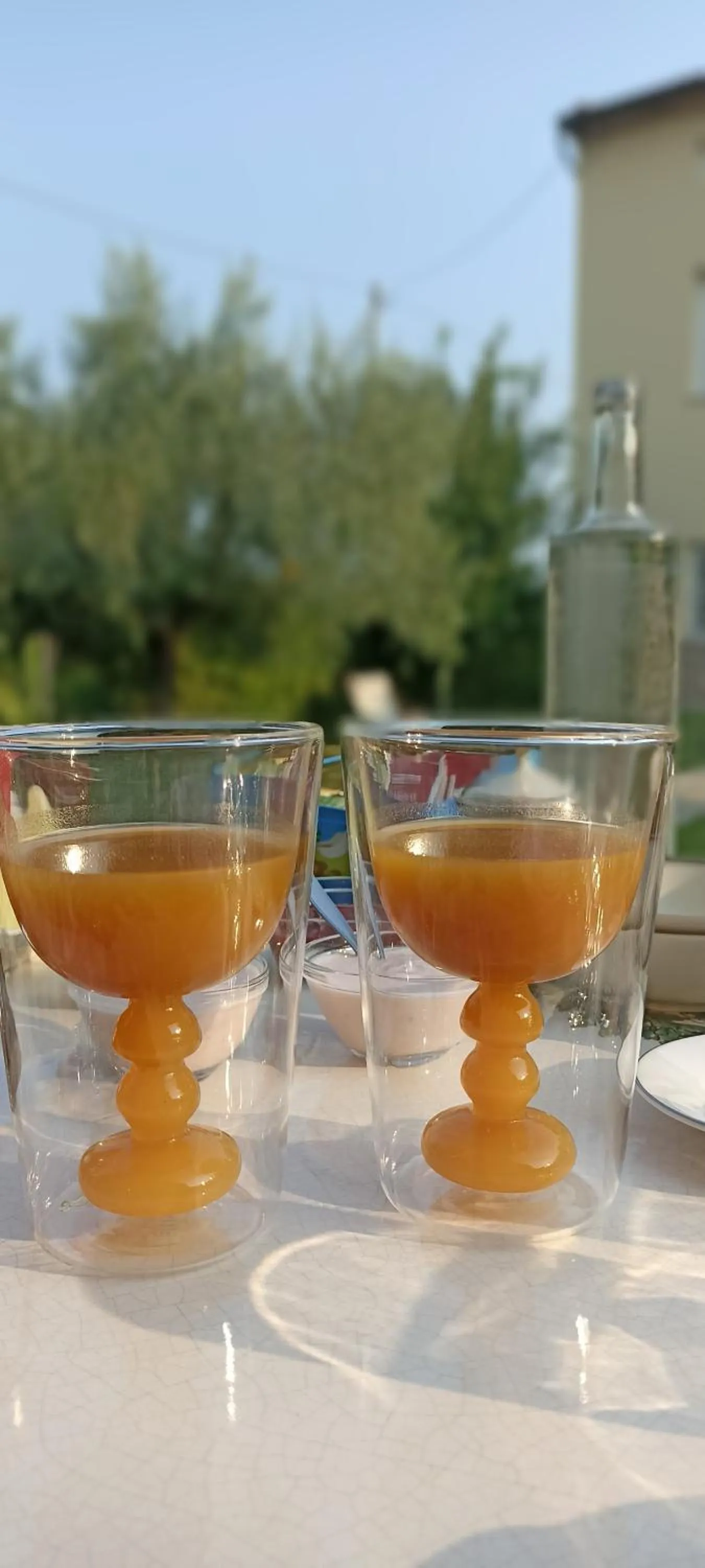 Drinks in Villa Galgani