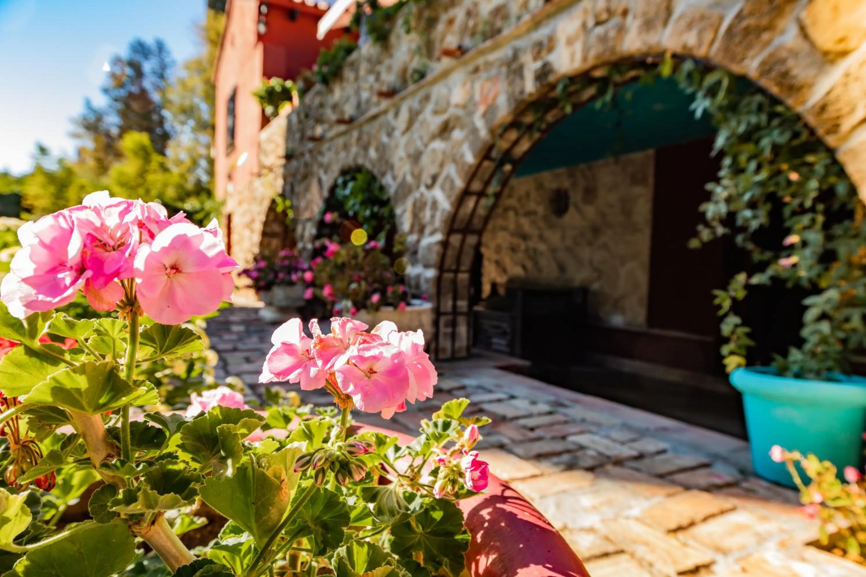 Garden in Casa Paraíso Boutique B&B