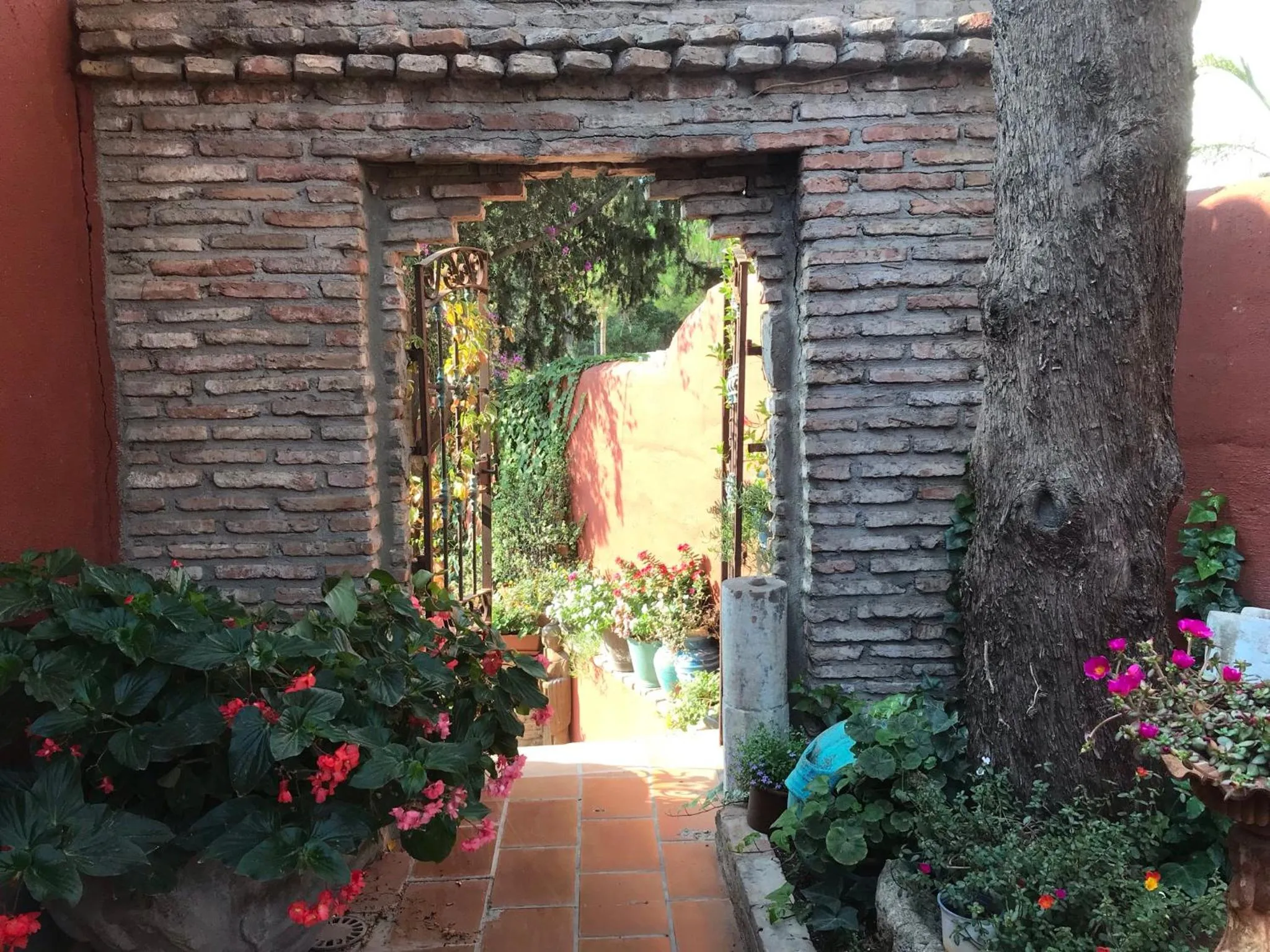 Patio in Casa Paraíso Boutique B&B