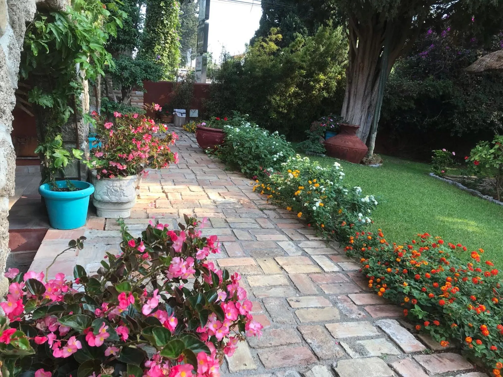 Garden in Casa Paraíso Boutique B&B