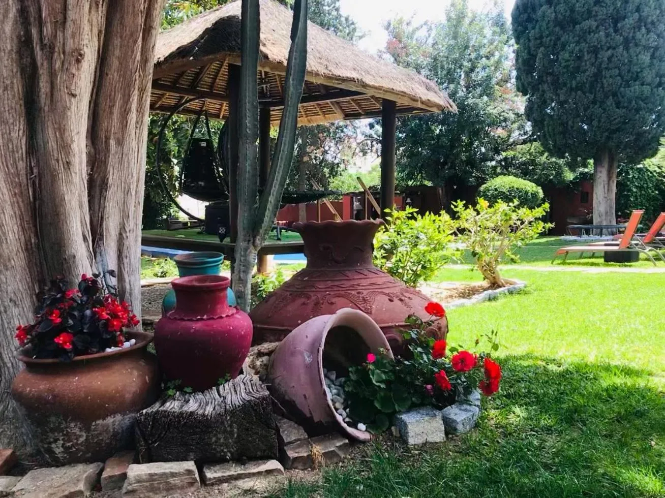 Garden in Casa Paraíso Boutique B&B