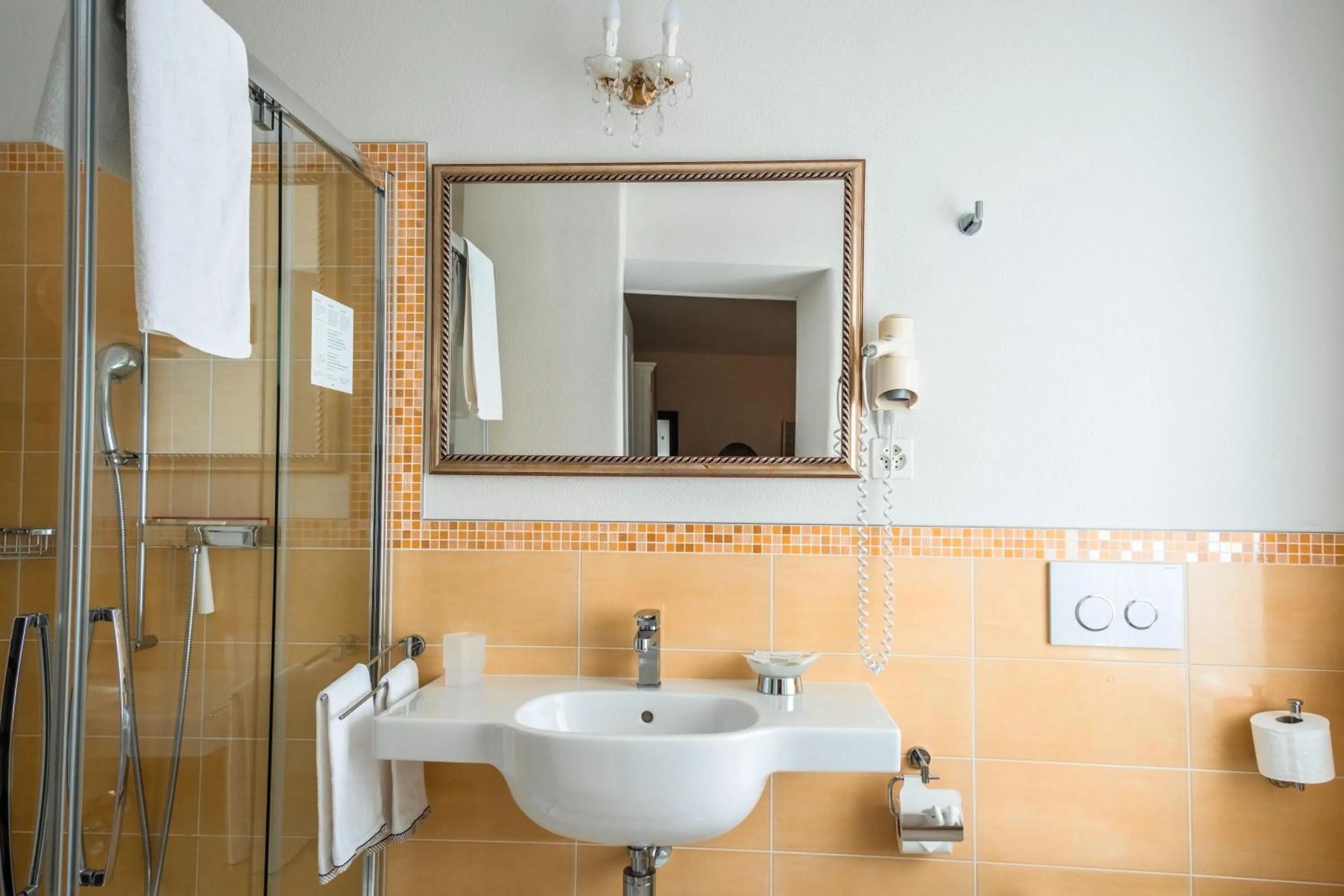 Shower in Guesthouse Arosio B&B