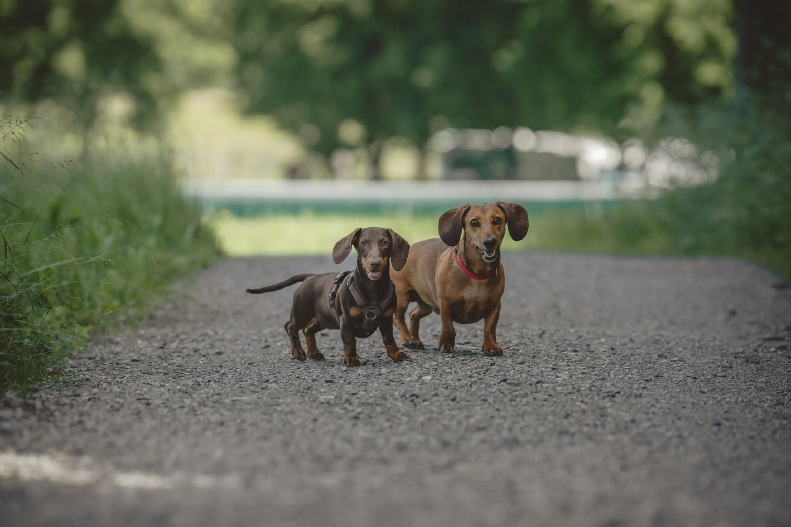 Hiking in Relais & Châteaux Gut Steinbach Hotel Chalets SPA