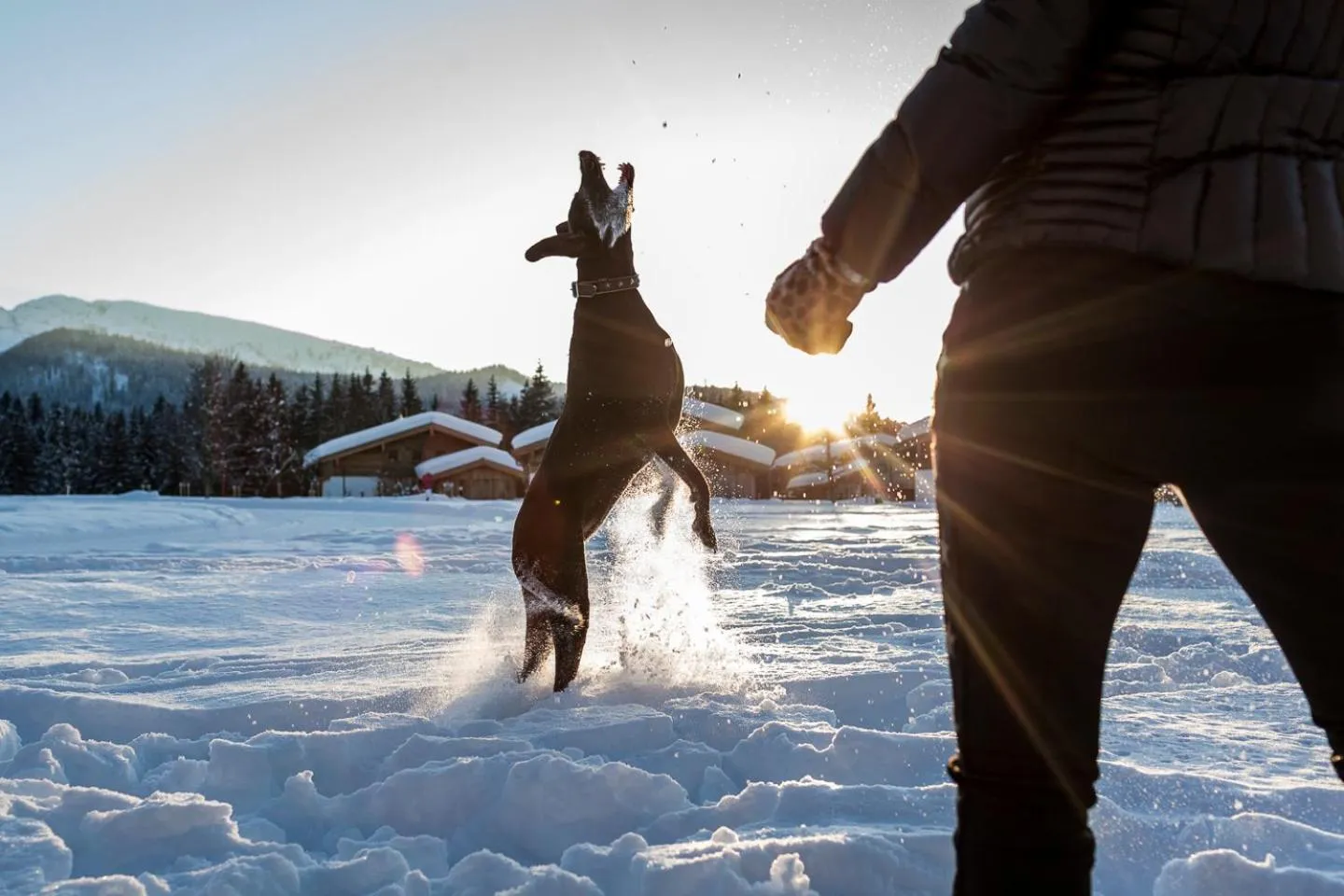 Winter in Relais & Châteaux Gut Steinbach Hotel Chalets SPA
