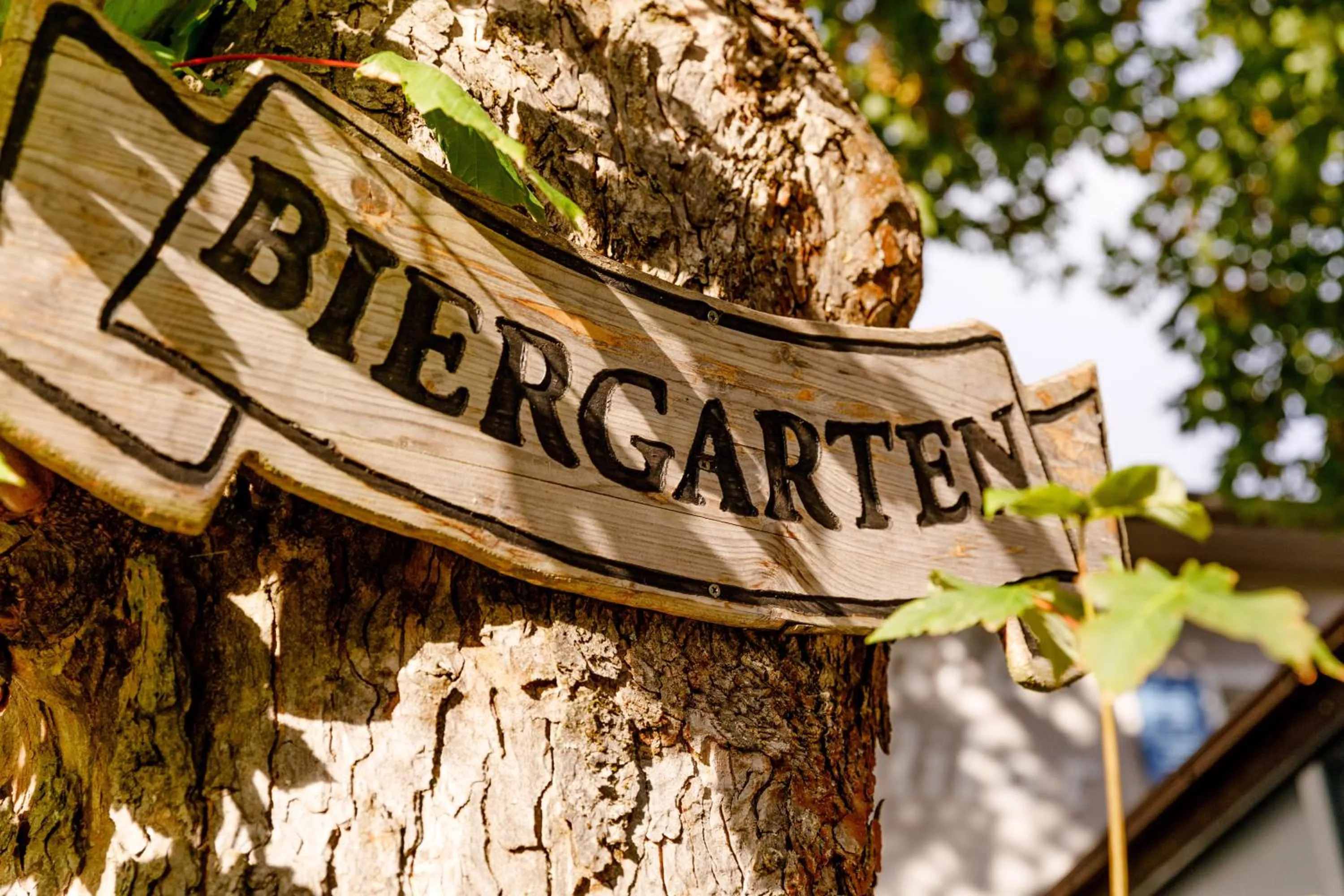 Restaurant/places to eat in Hotel Restaurant Molitor