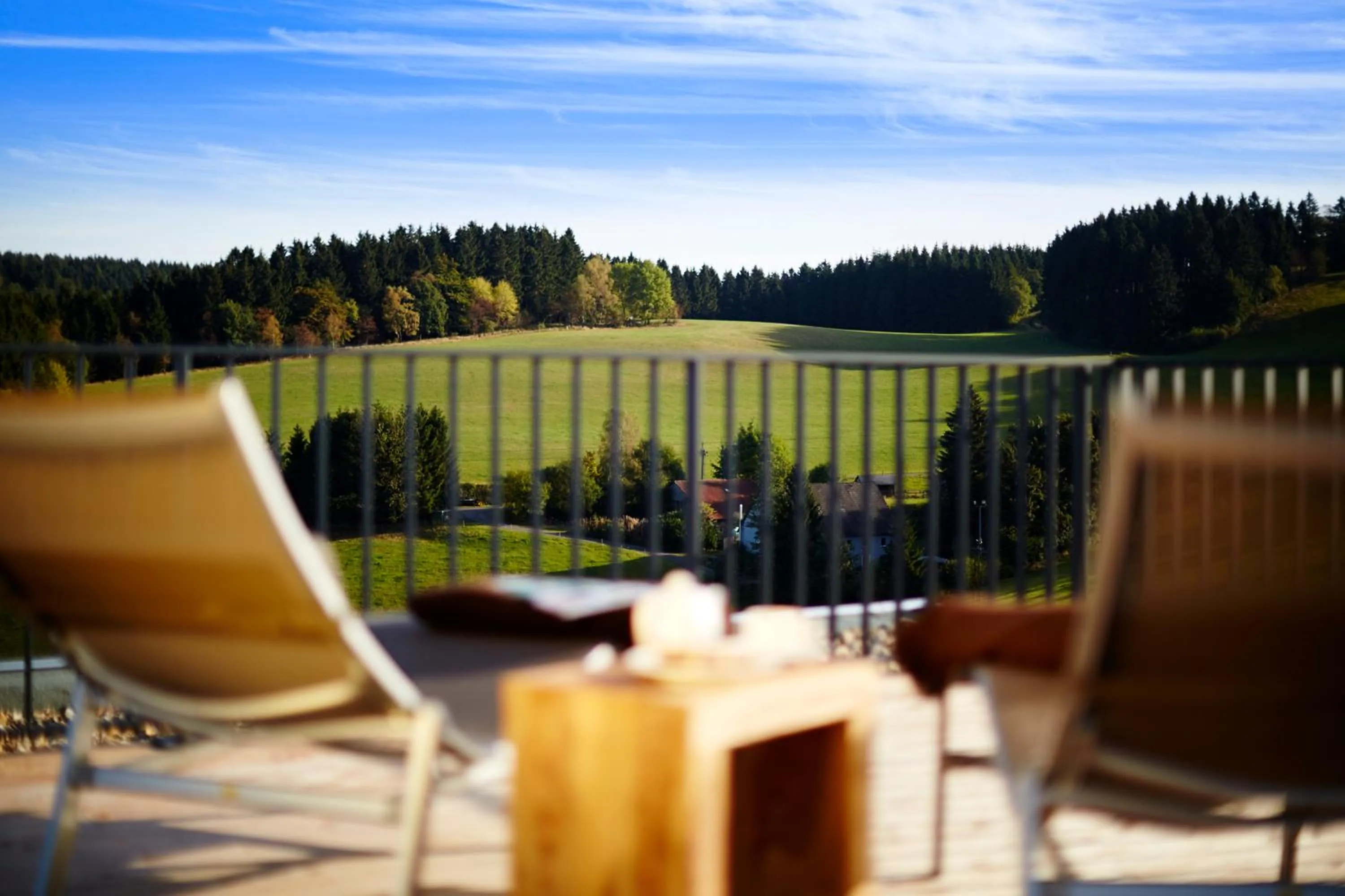 View (from property/room) in Steinbergs Wildewiese NaturHotel