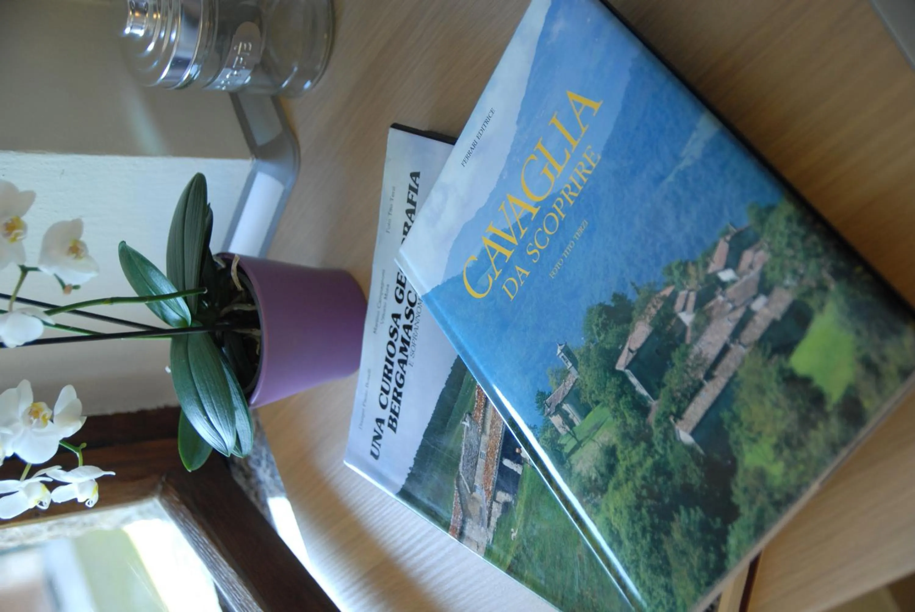 Library in Bed & Breakfast Castello Regina