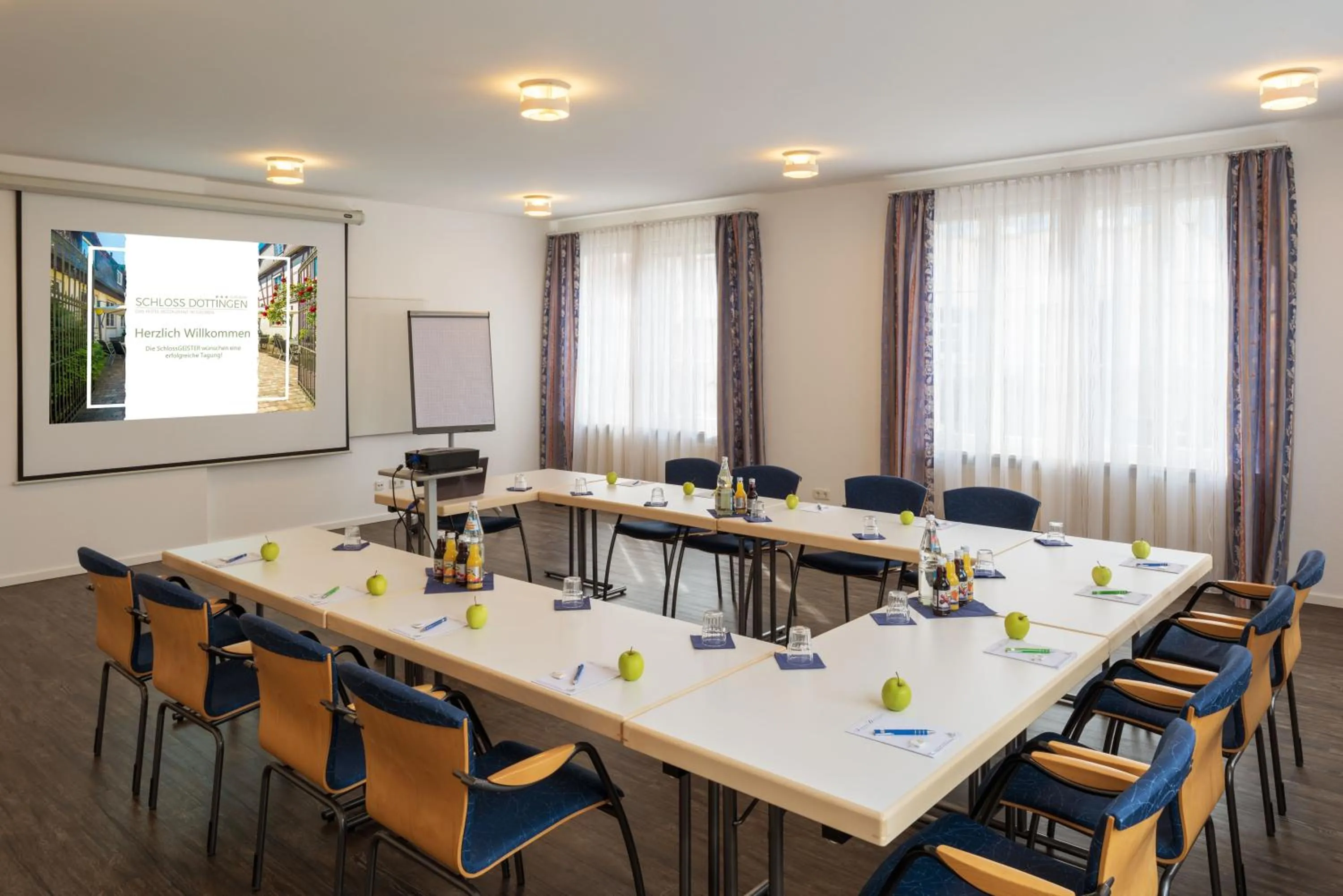 Meeting/conference room in Schloss Döttingen