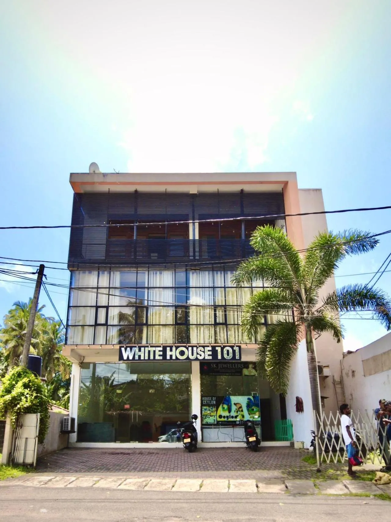 White House 101