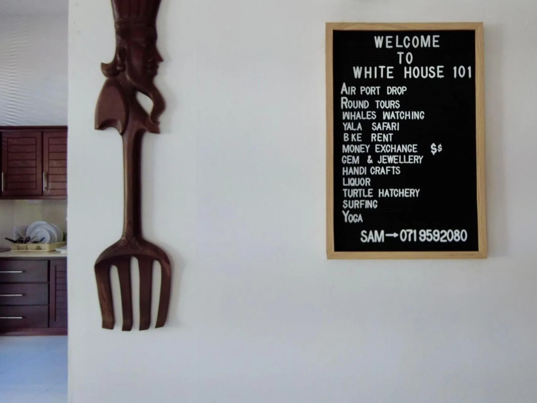 White House 101