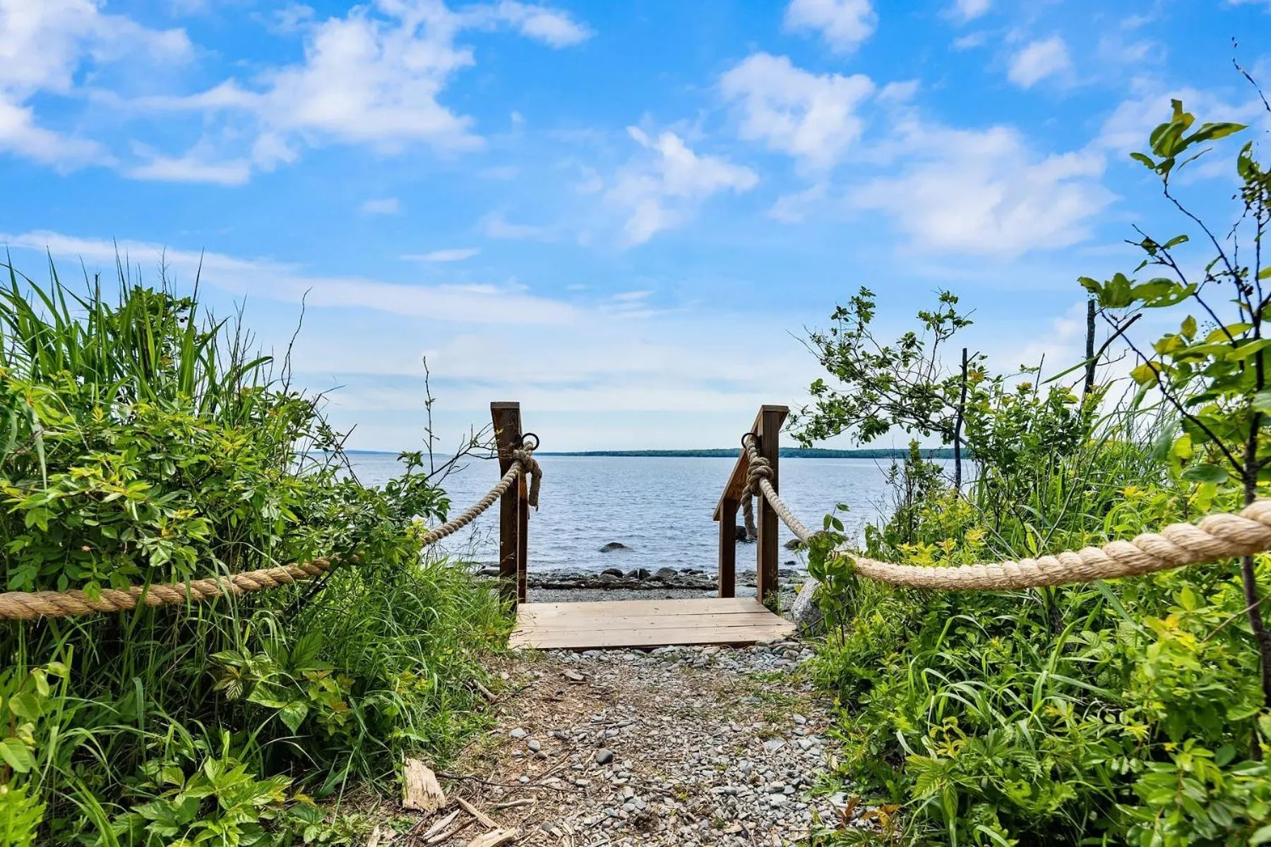 View (from property/room) in Under Canvas Acadia