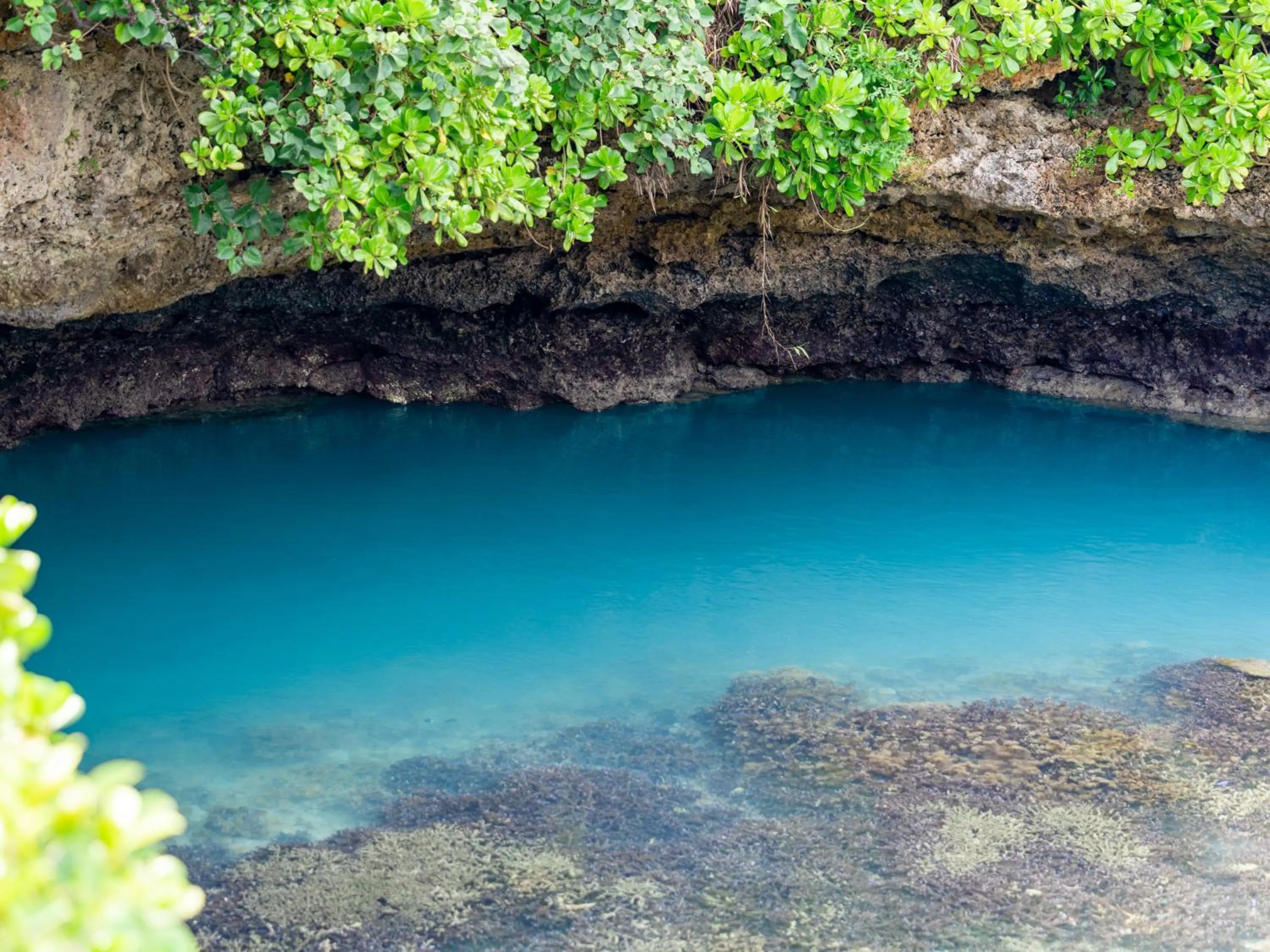 Nearby landmark in Ecot Irabu Bridge Premier
