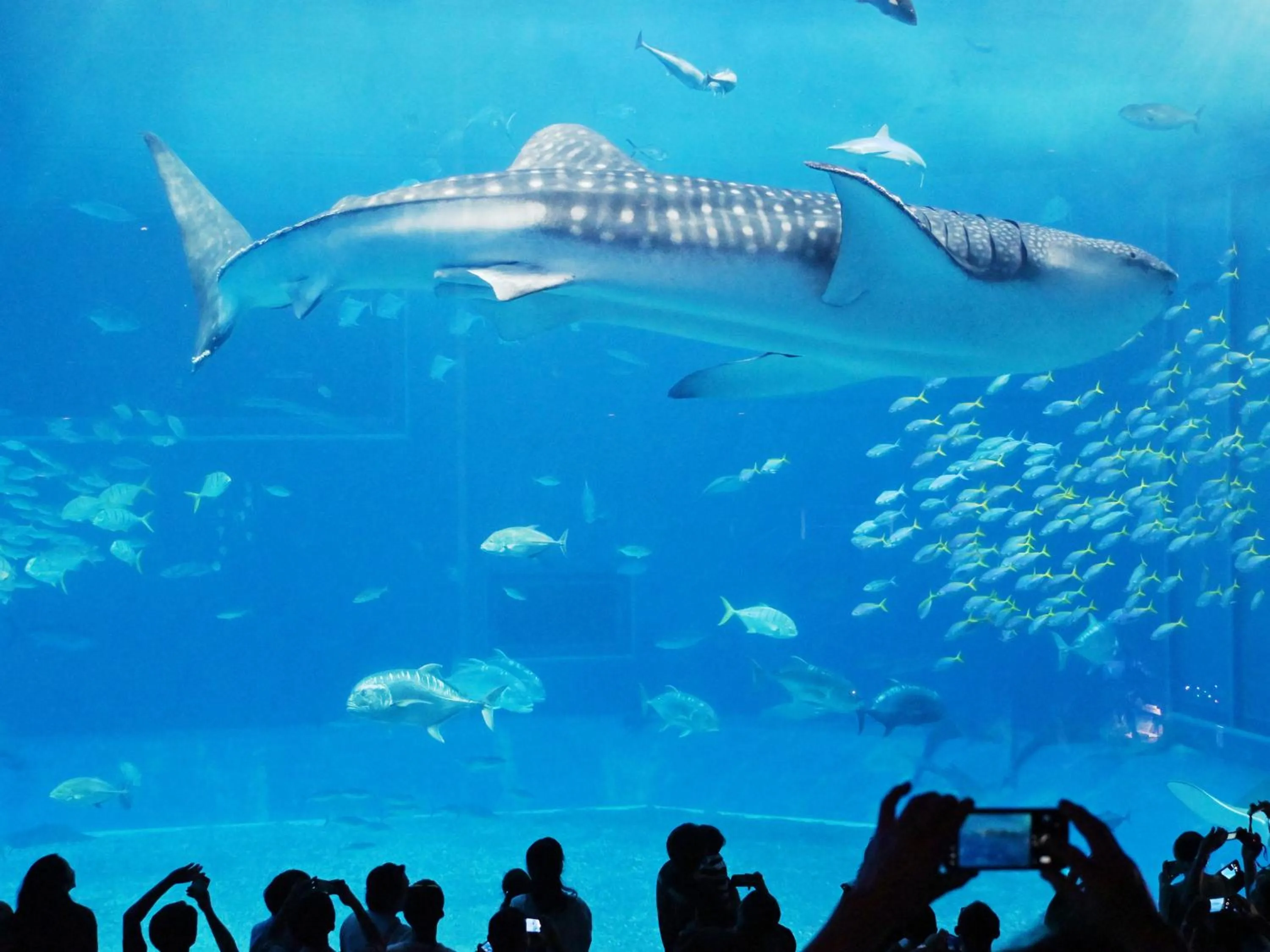 Nearby landmark in ADAN RESORT 縁 - En -