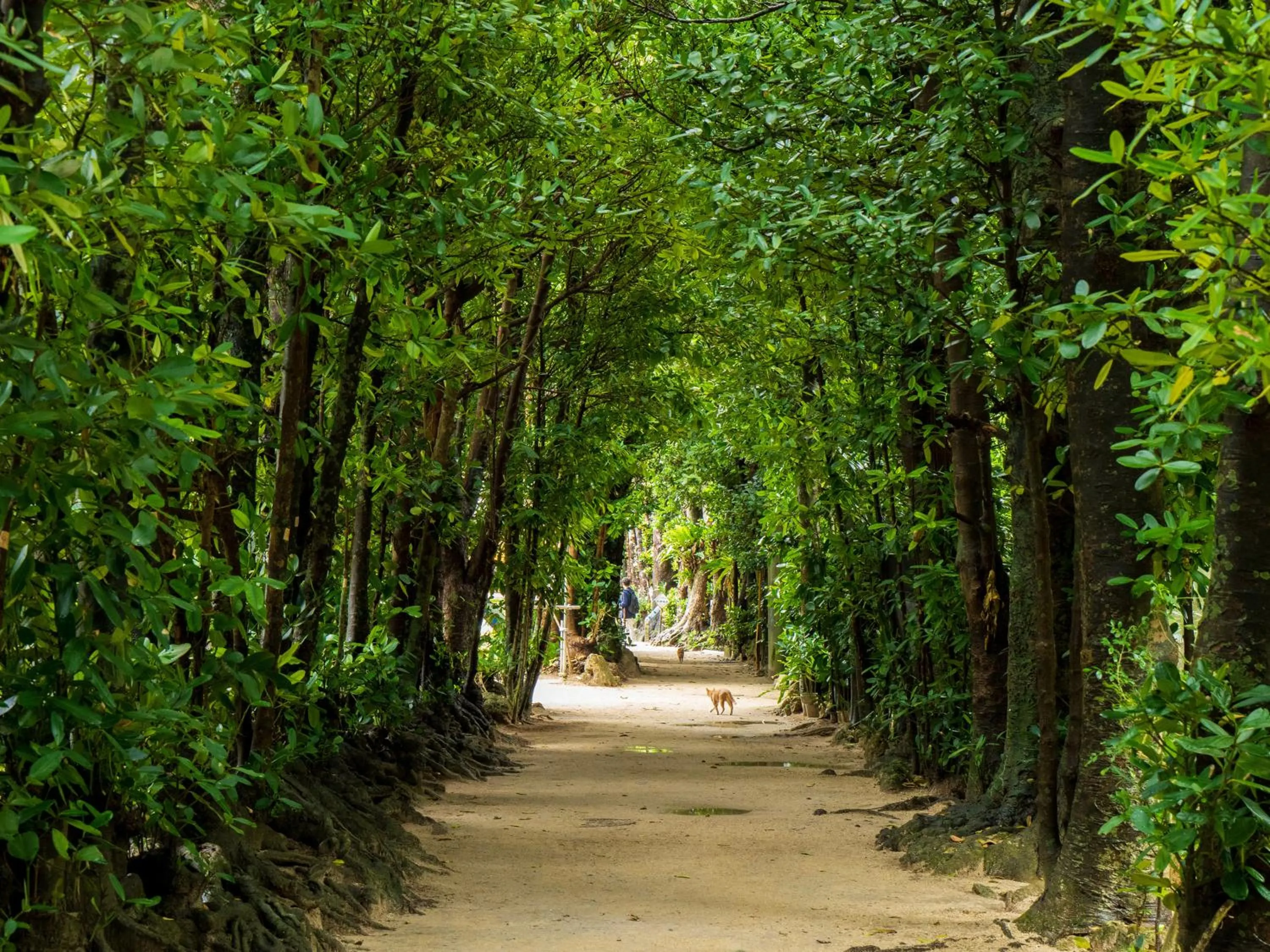 Nearby landmark in ADAN RESORT 縁 - En -