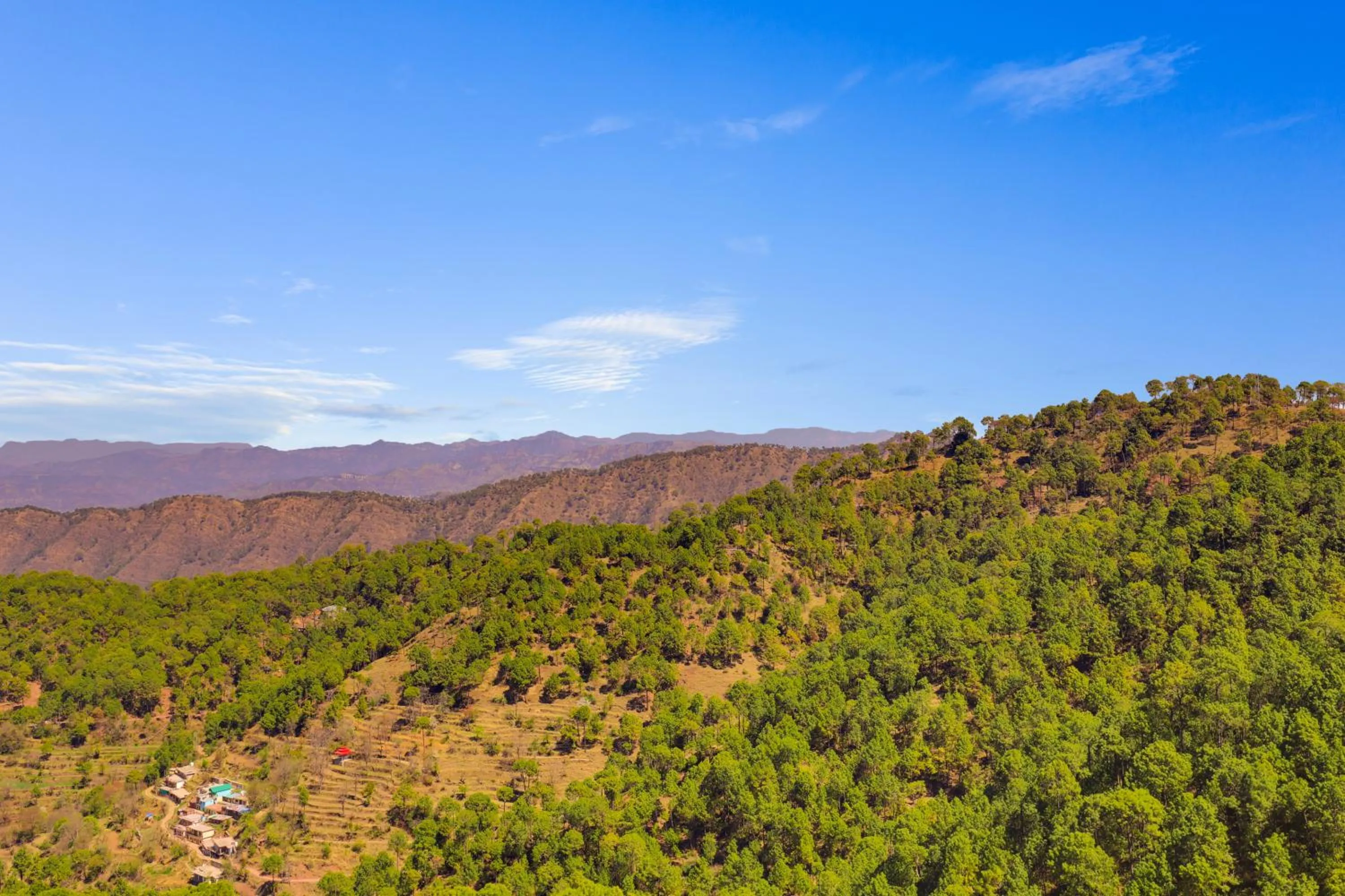 View (from property/room) in The Chateau Kasauli