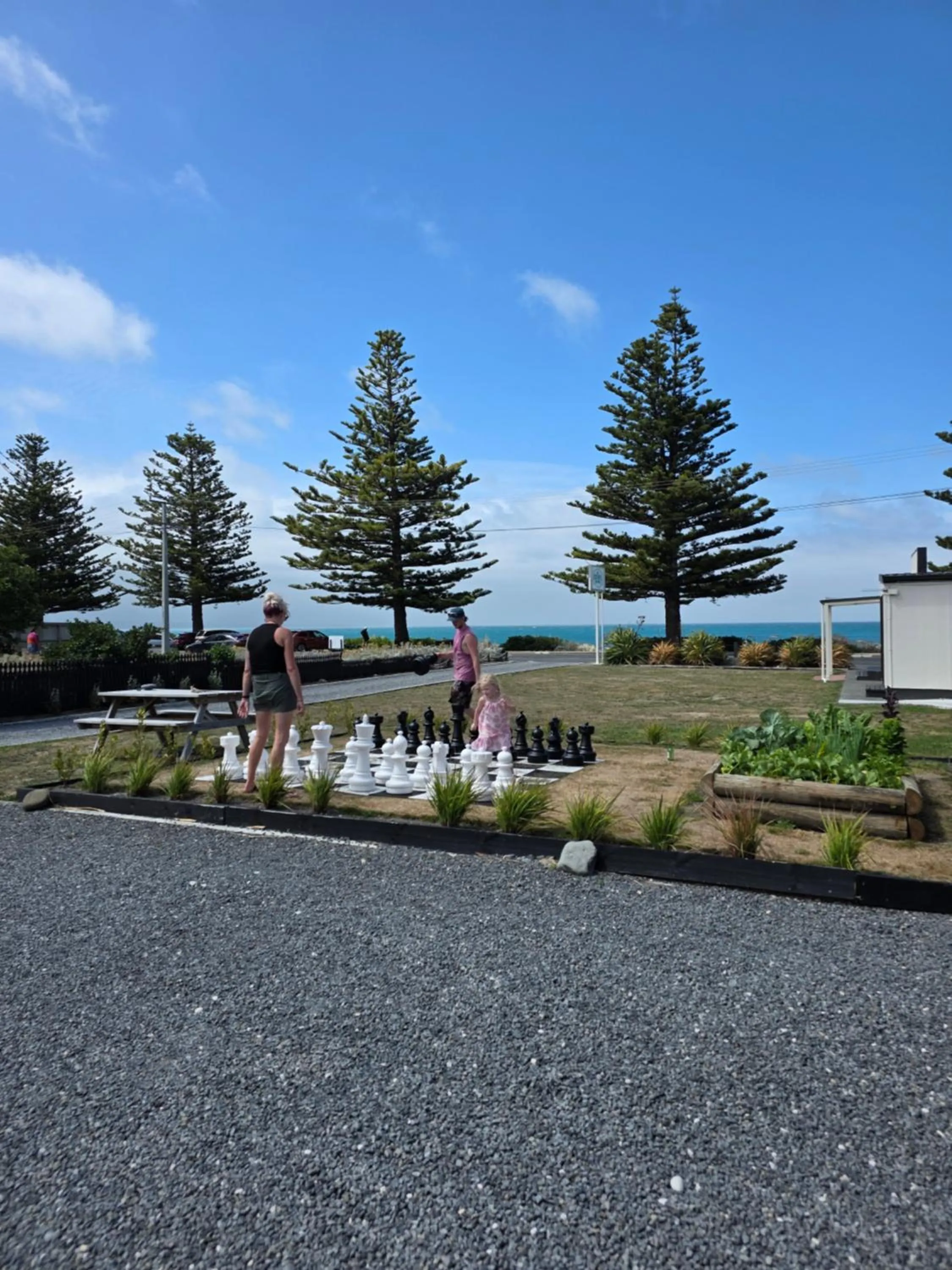 Activities in Kaikoura Beach Motel