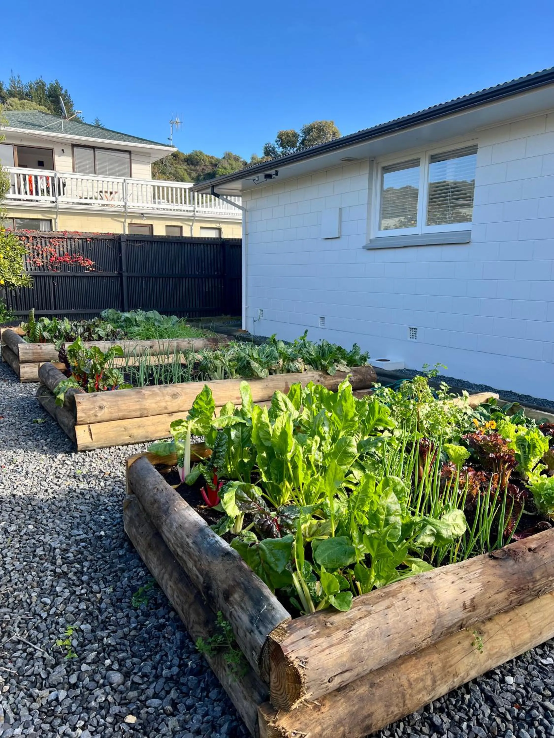 Garden in Kaikoura Beach Motel