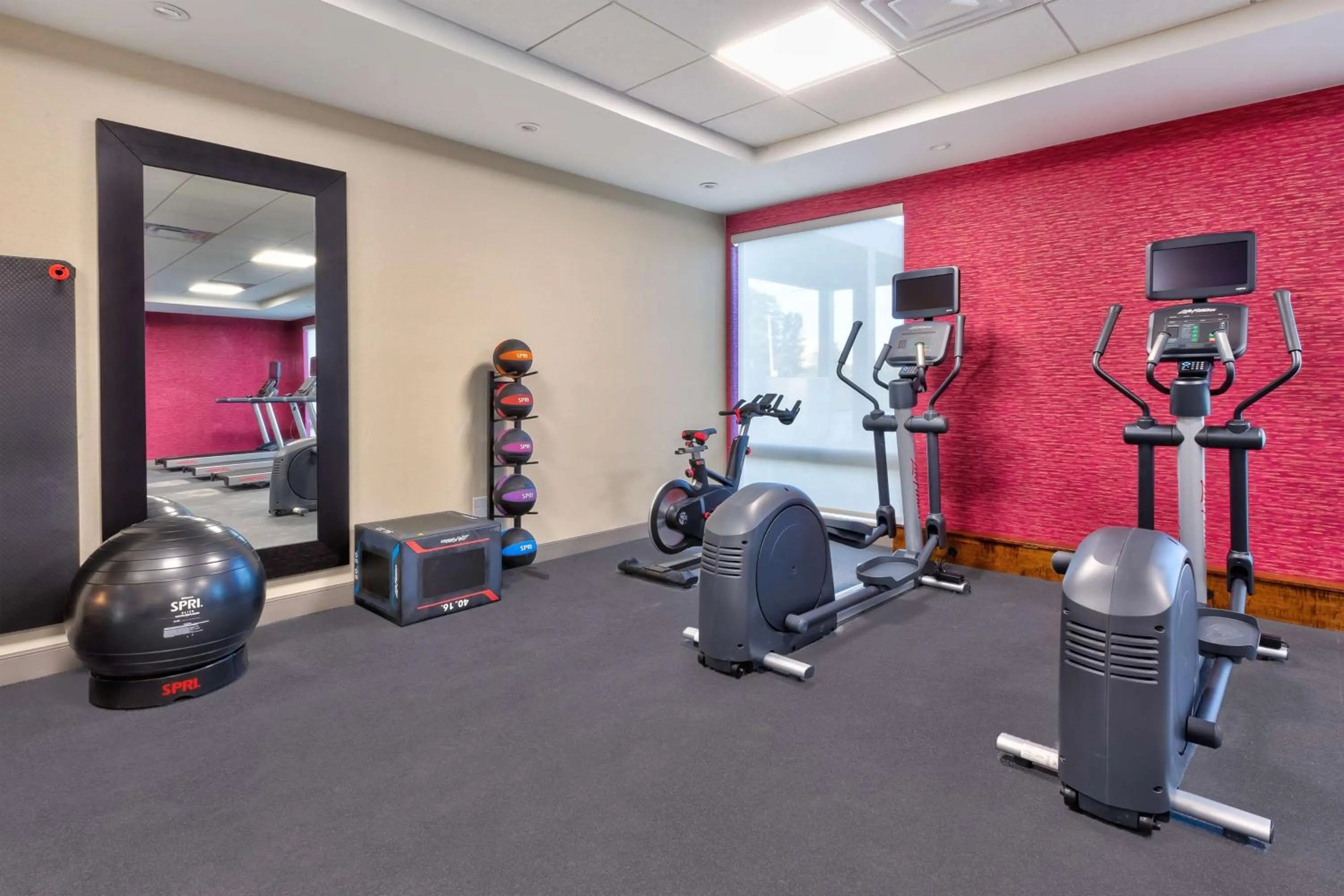 Fitness centre/facilities in Home2 Suites By Hilton Saginaw, Mi