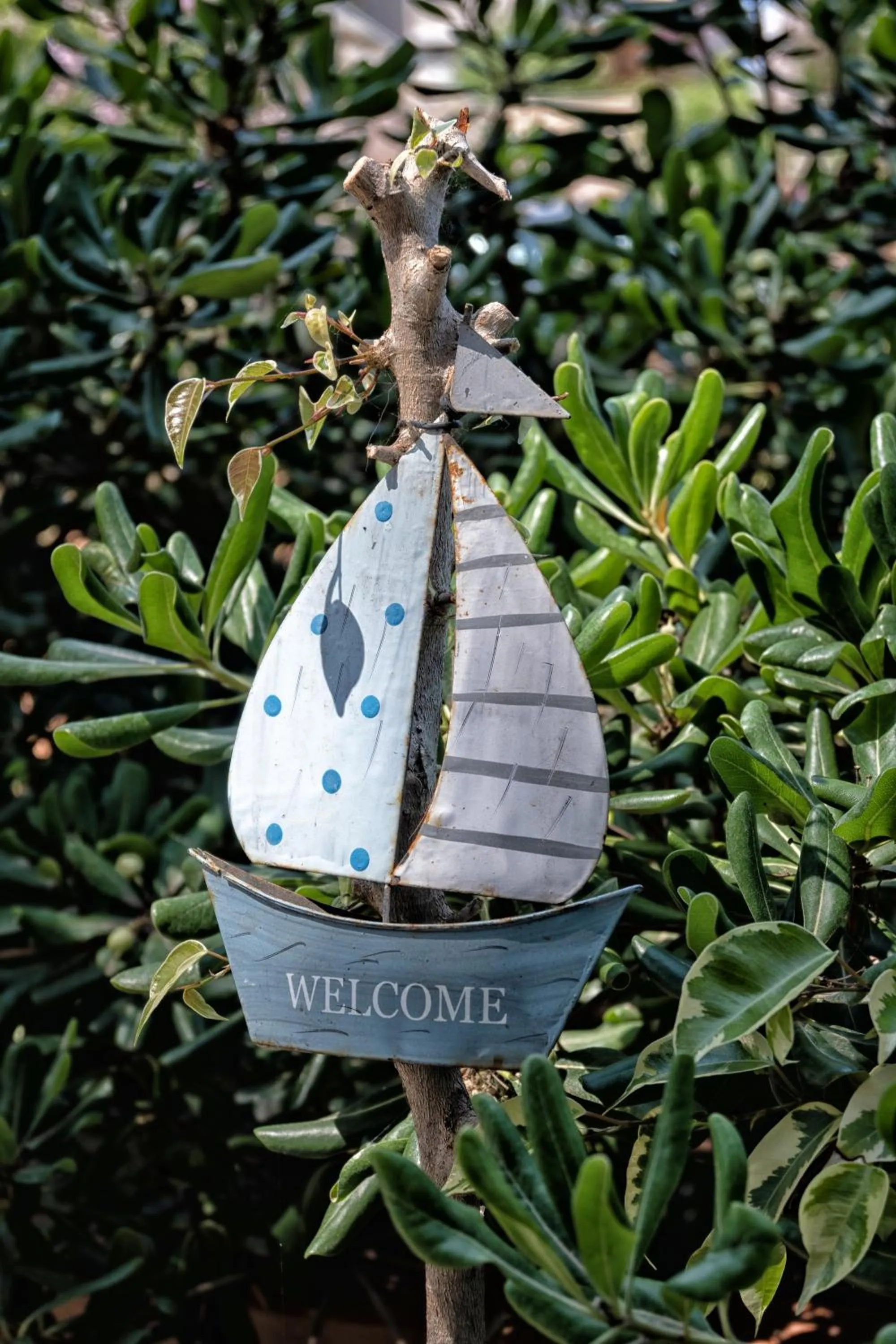 Garden in Alexandra Apartments