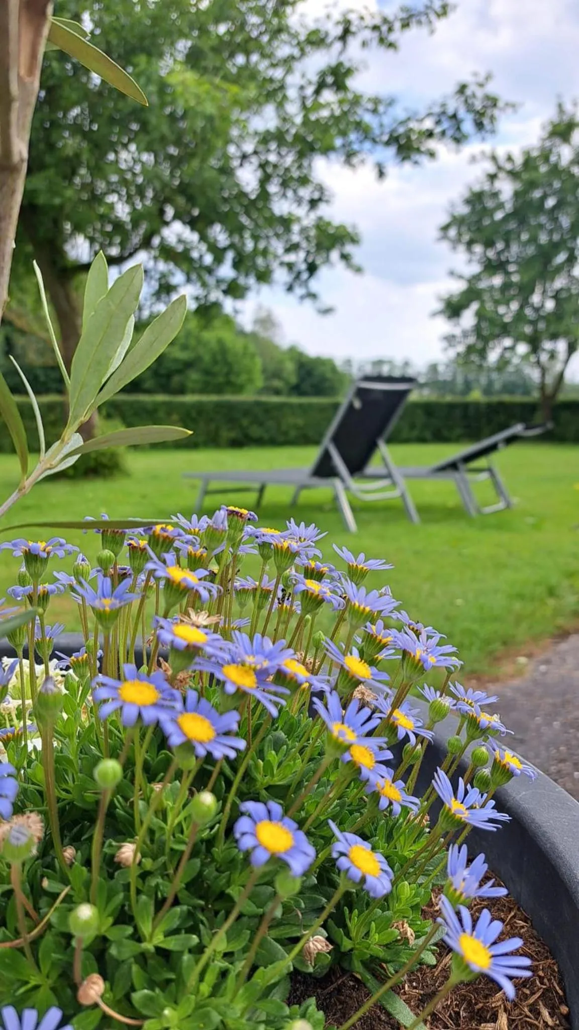 Hoeve Zandbelt