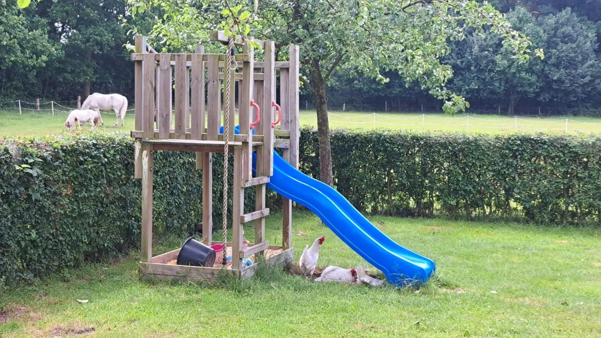 Hoeve Zandbelt