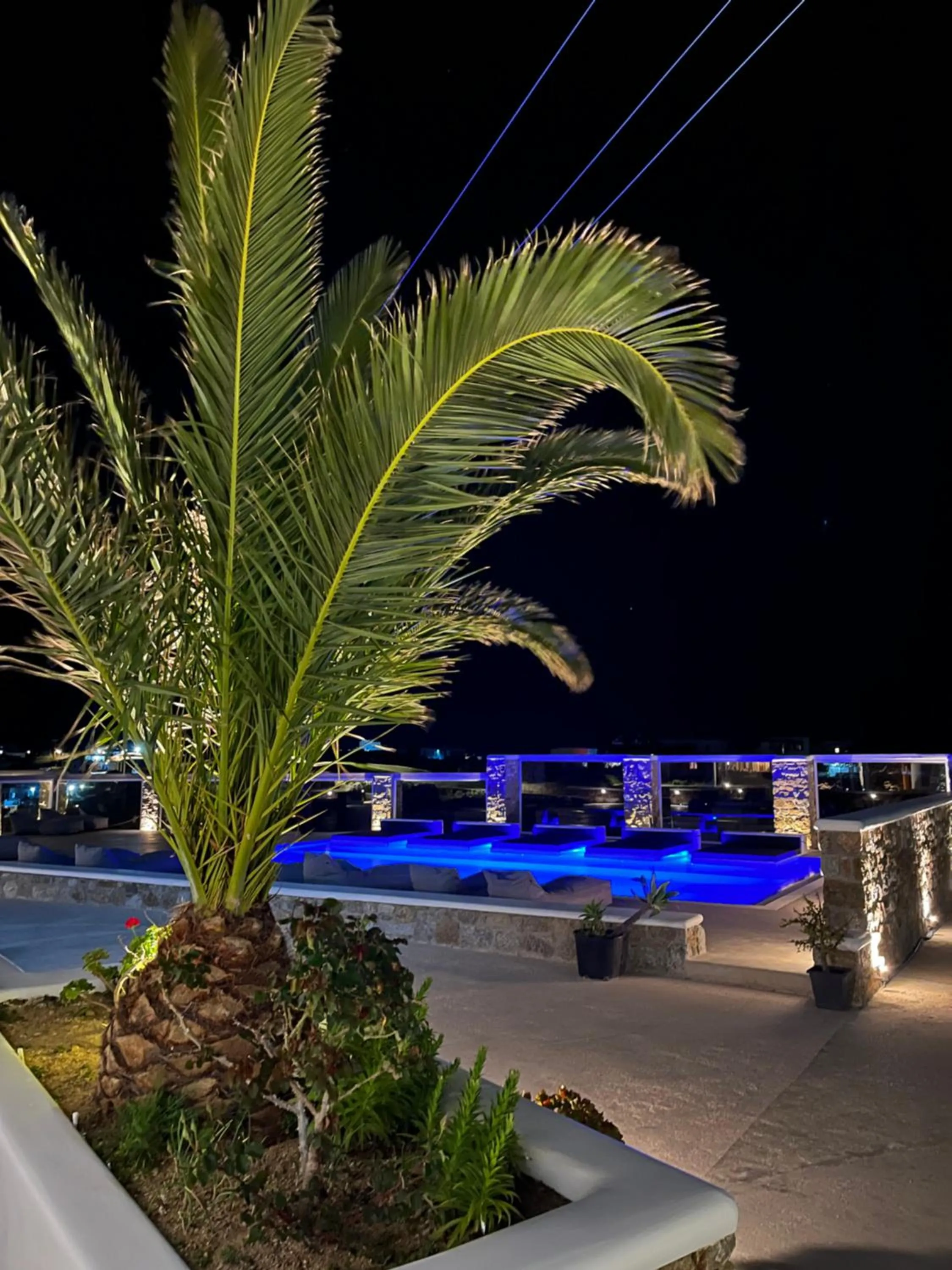 Night in Crystal Suites